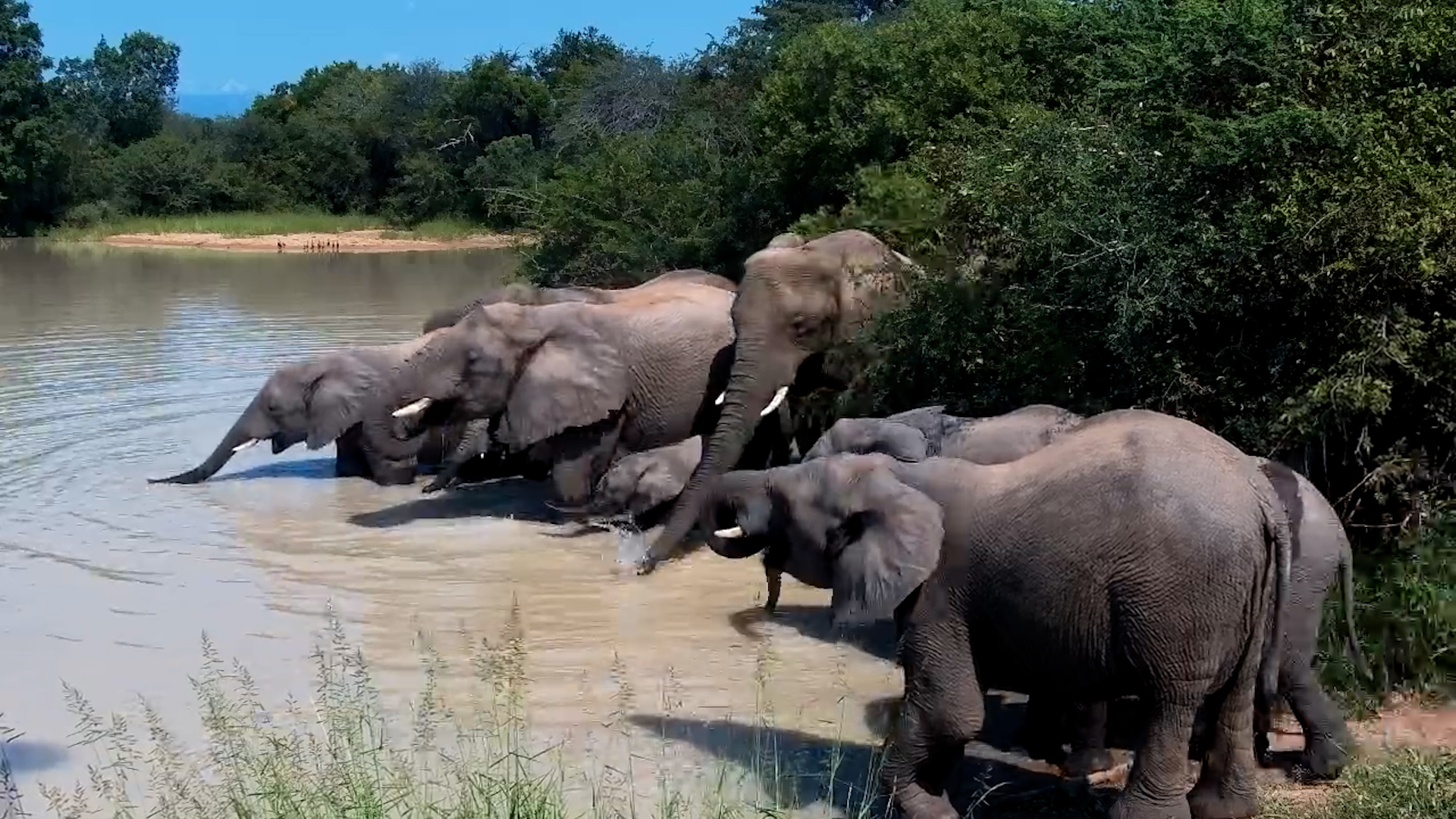 Mud, Water & Pure Joy