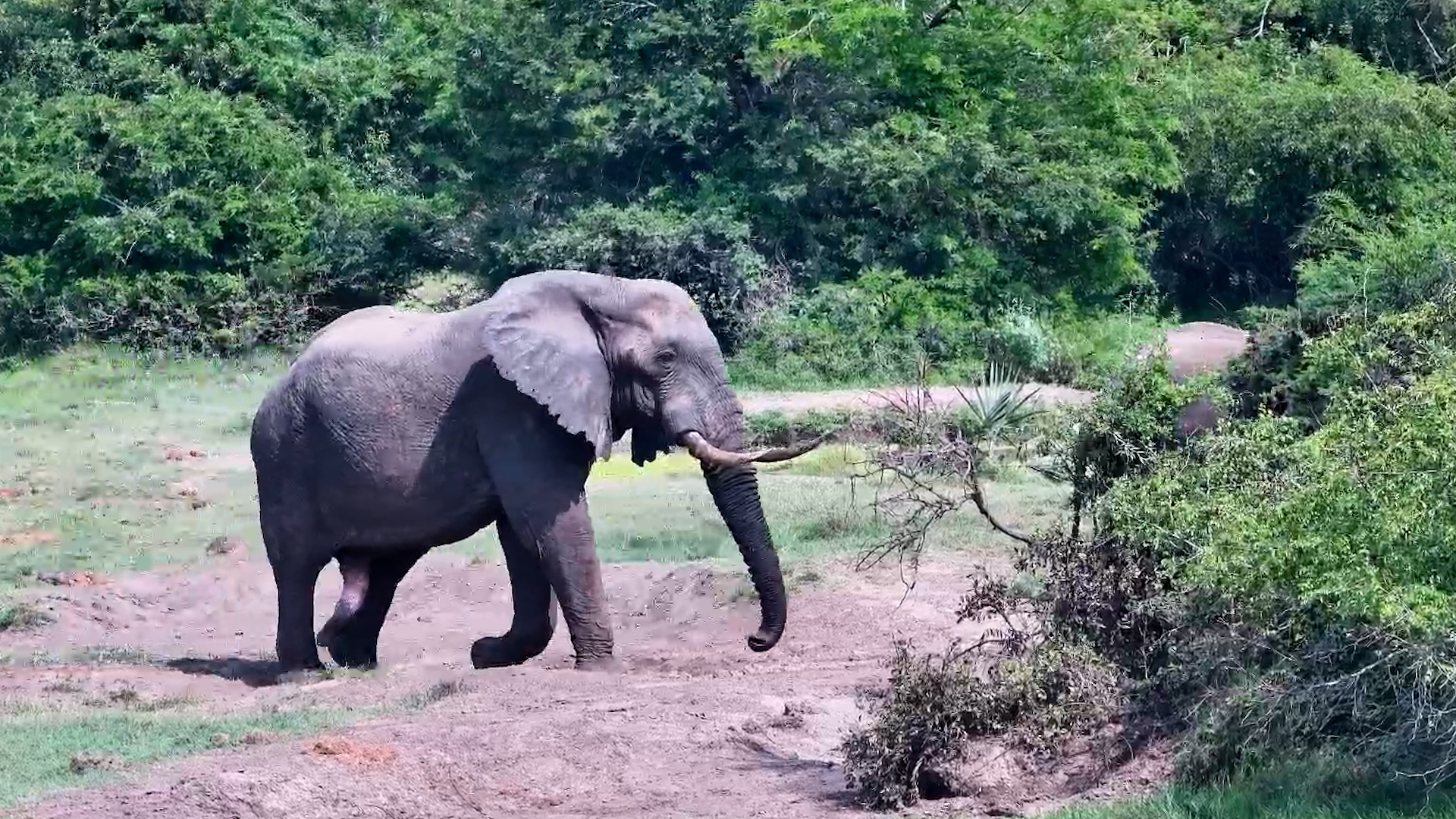 Just Resting Giants in the Daylight