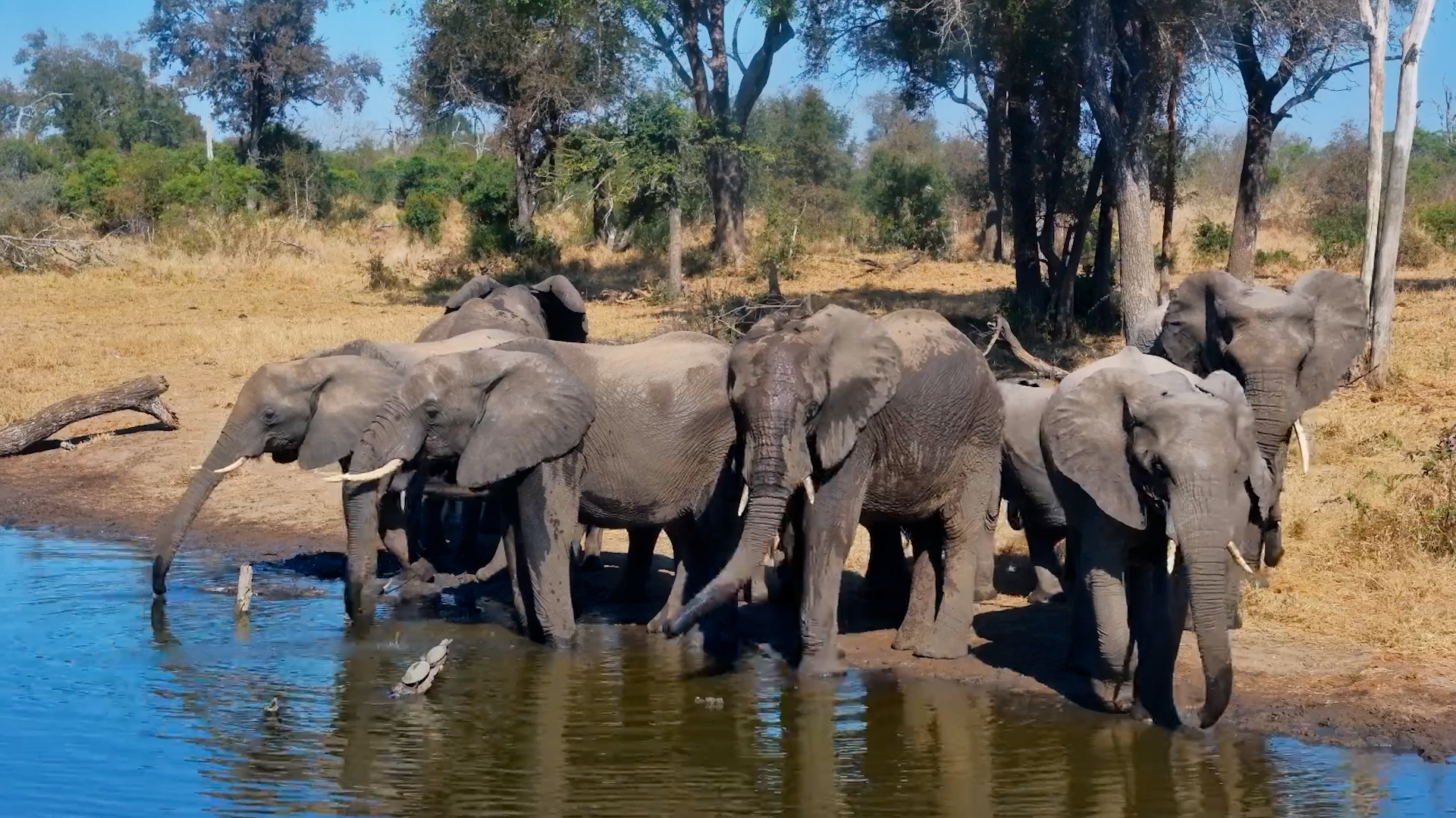 A Family Water Break