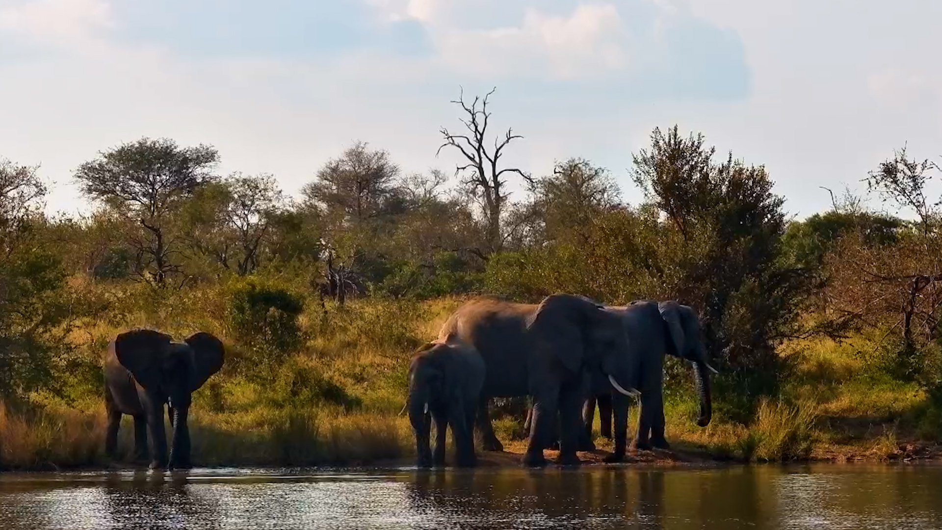 Giants Gathering Beside the Water
