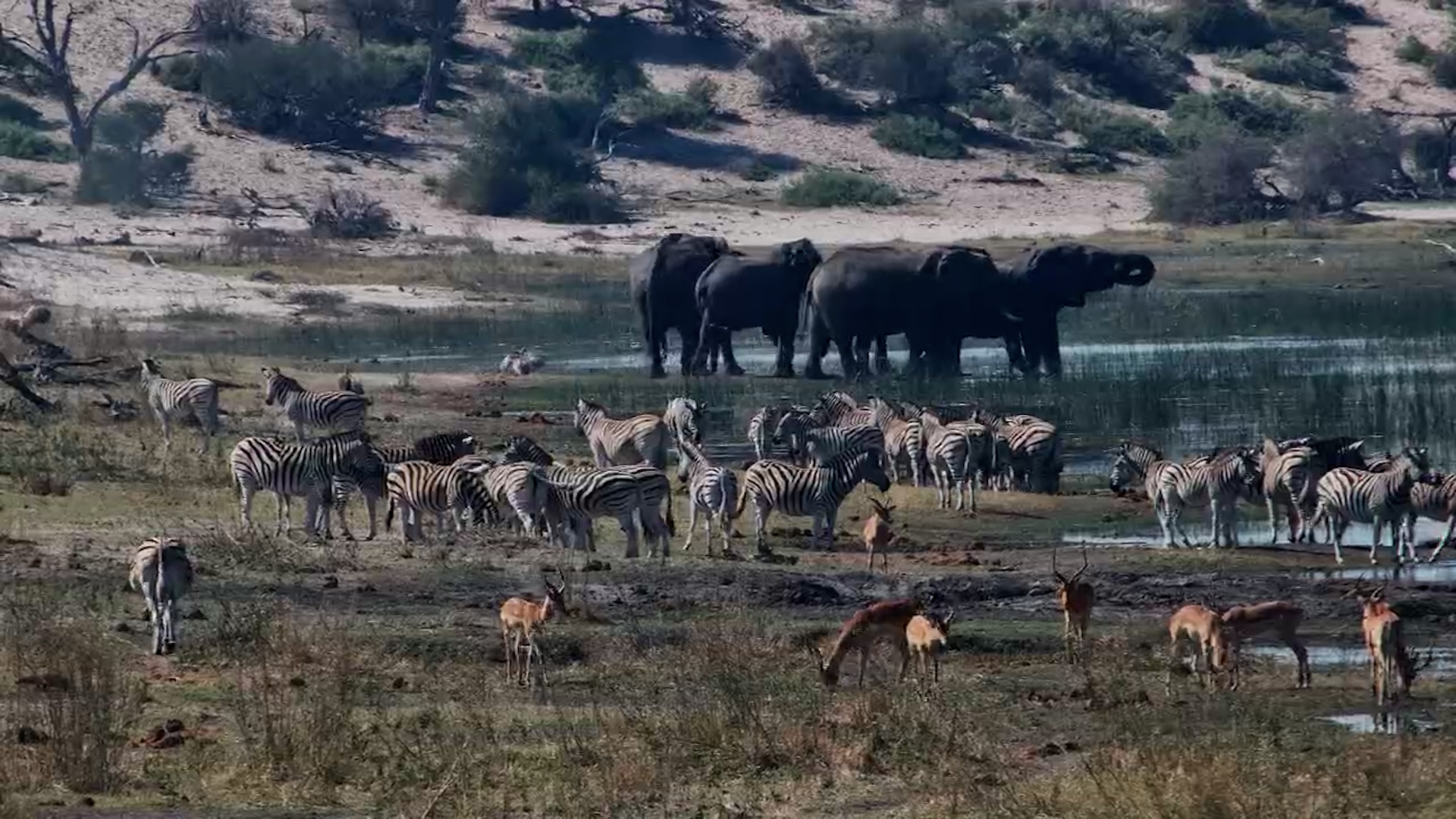 Nature's Meeting Place
