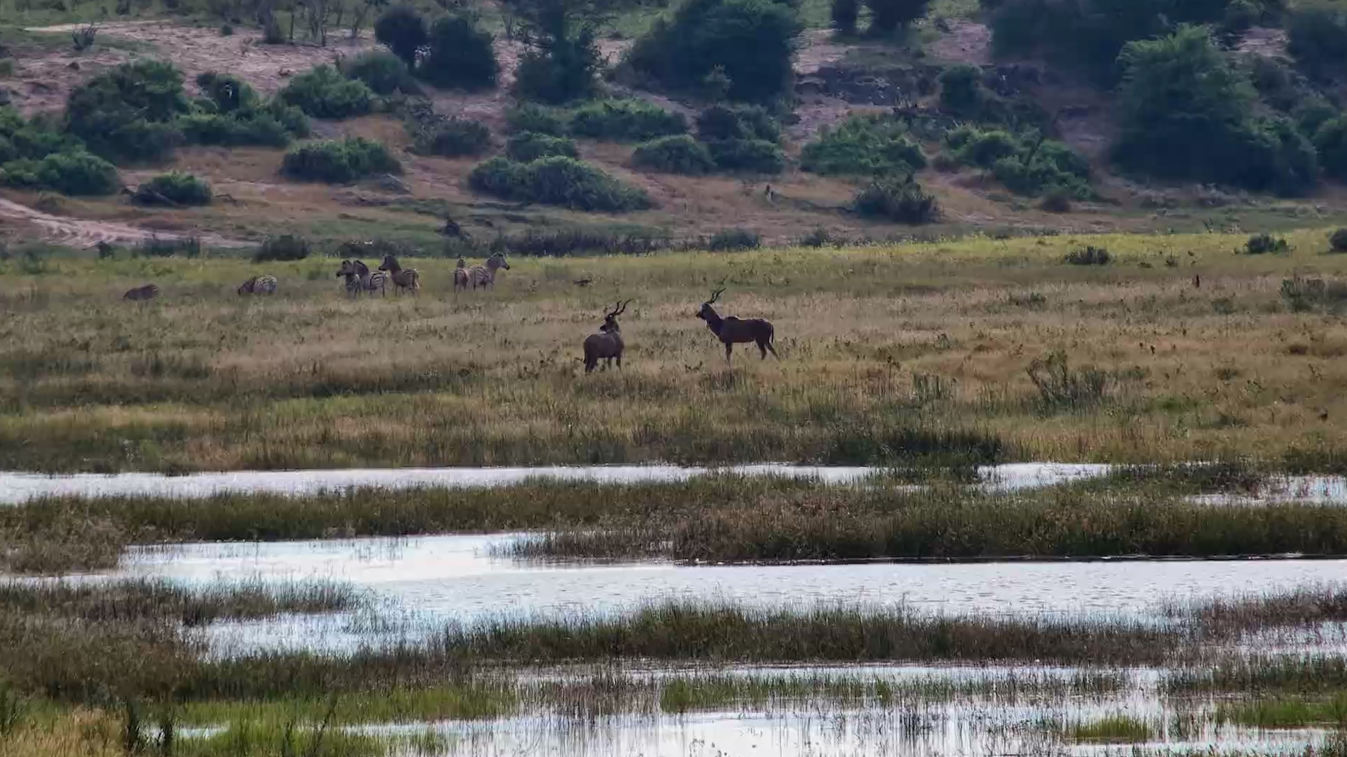 Moela Springs to Life: Water Changes Everything