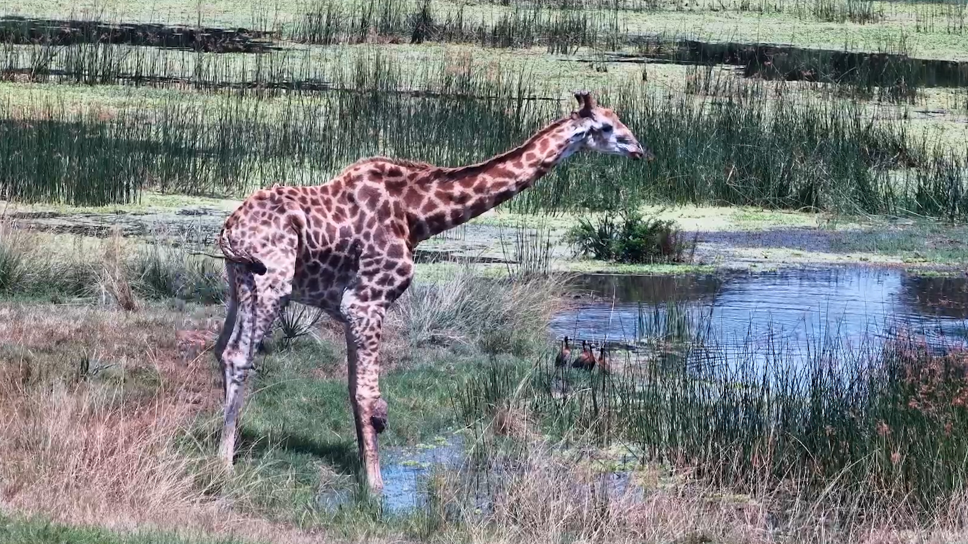 Nature’s Tough Moments