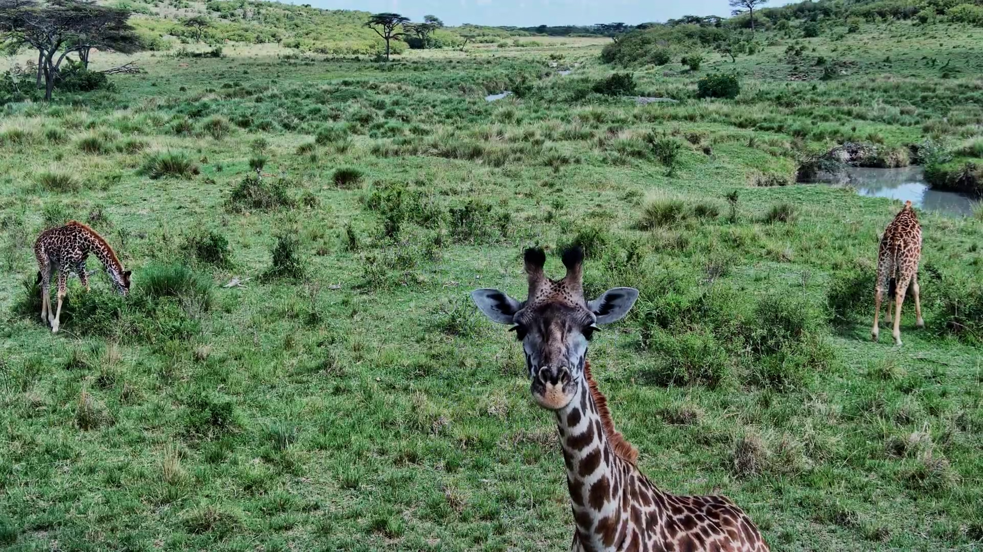 Excuse Me… Is This Thing On?