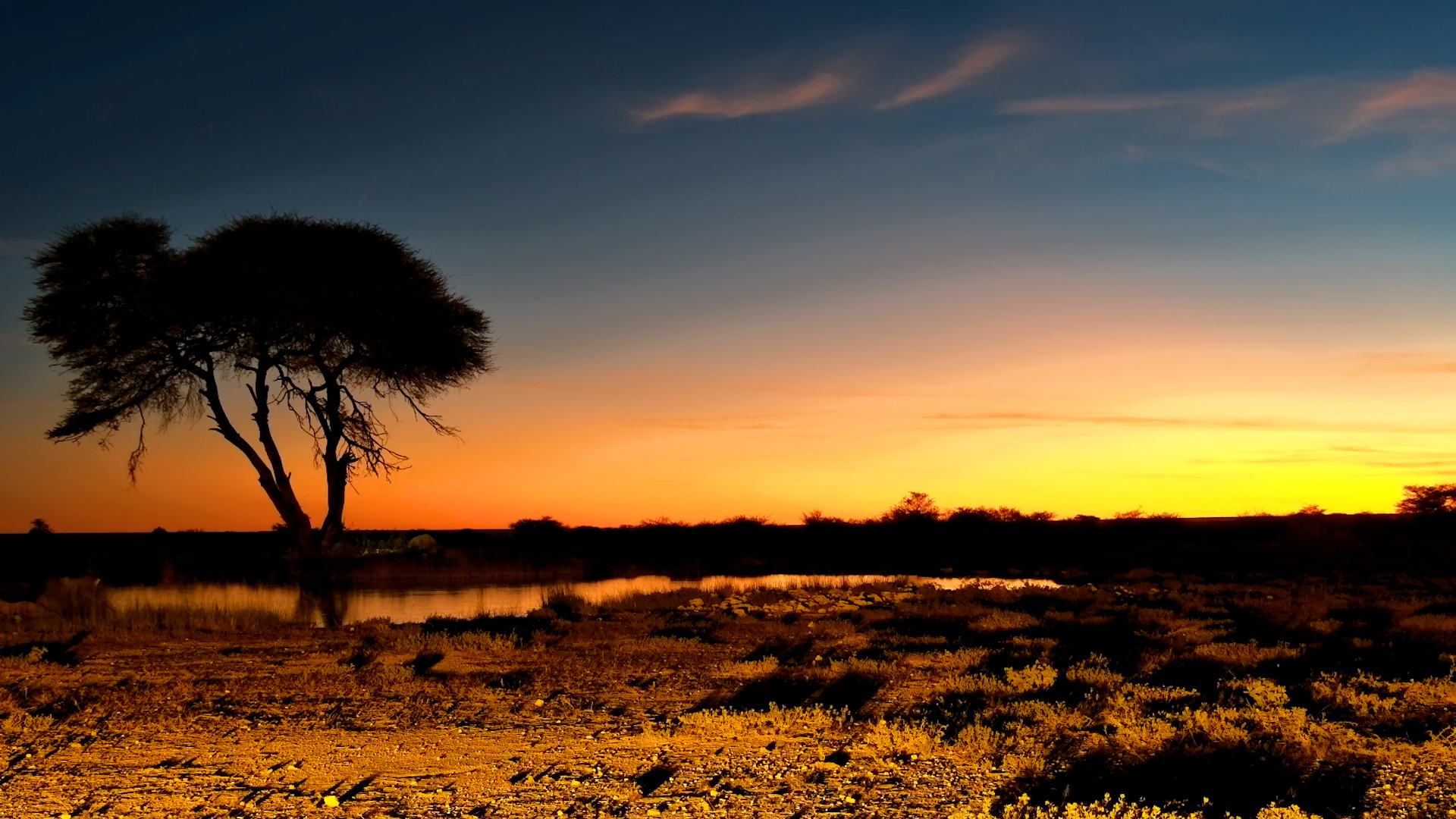 Another Day, Another Stunning Sunset