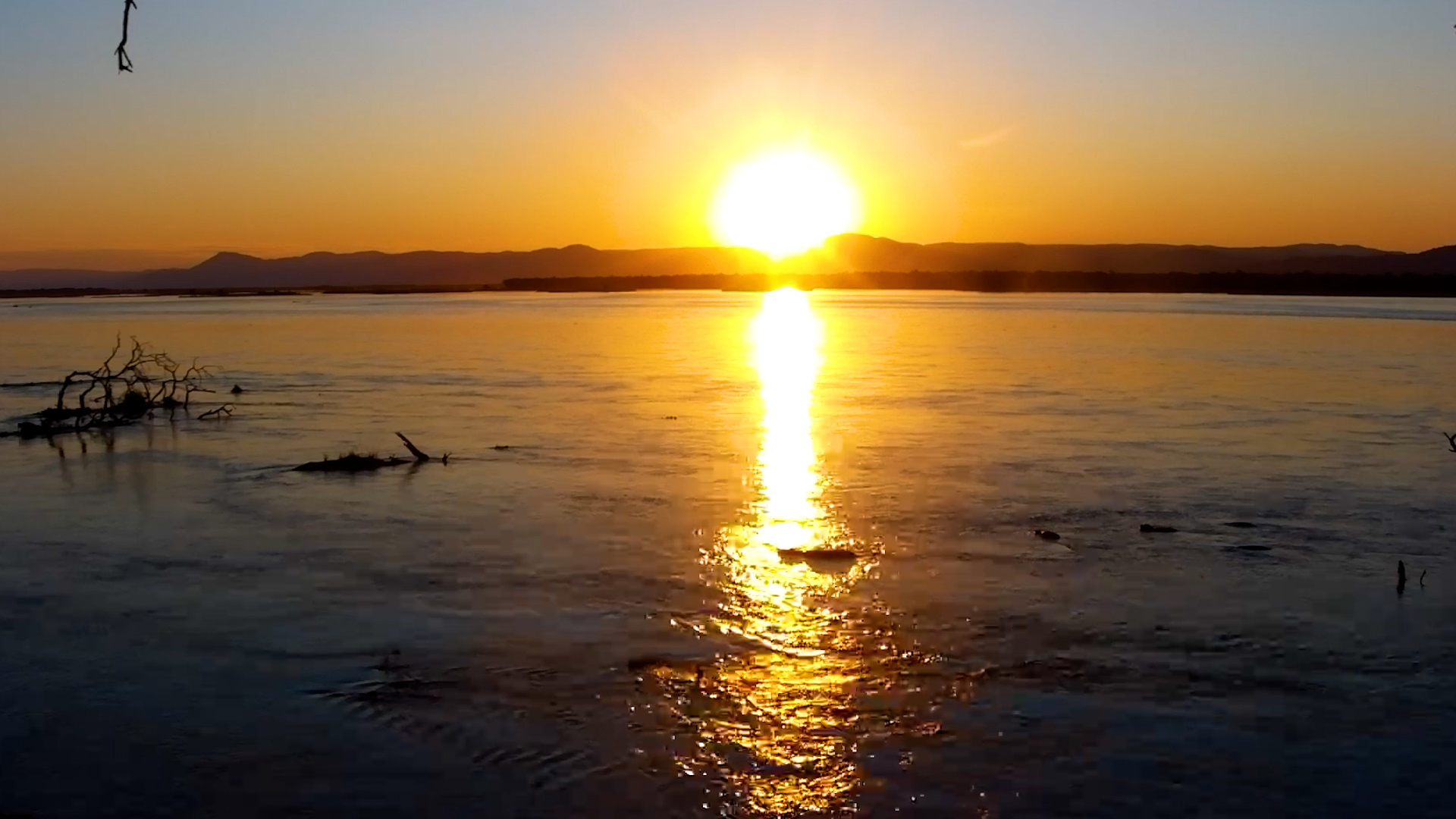 Golden Light Washes Over the Zambezi River