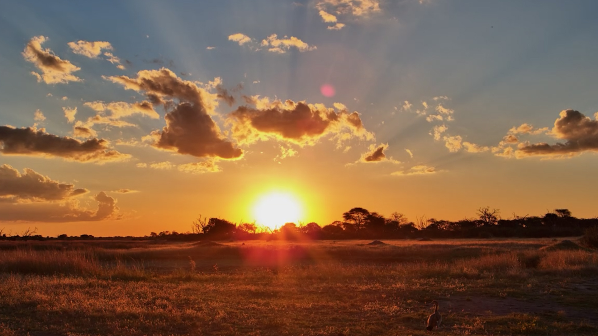 EPIC Golden Hour Sunset at the Waterhole!