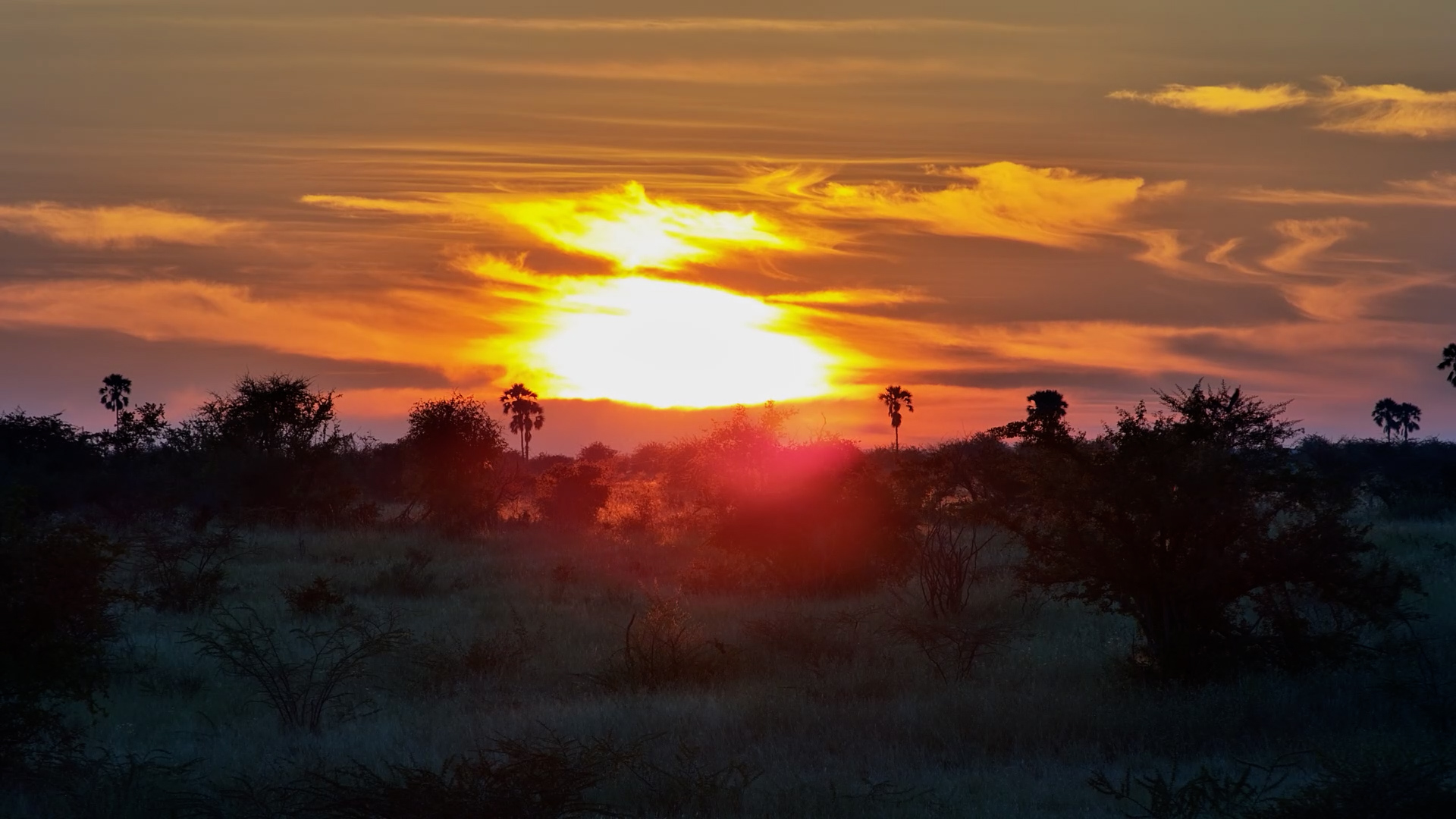 Kalahari Sunset in Motion