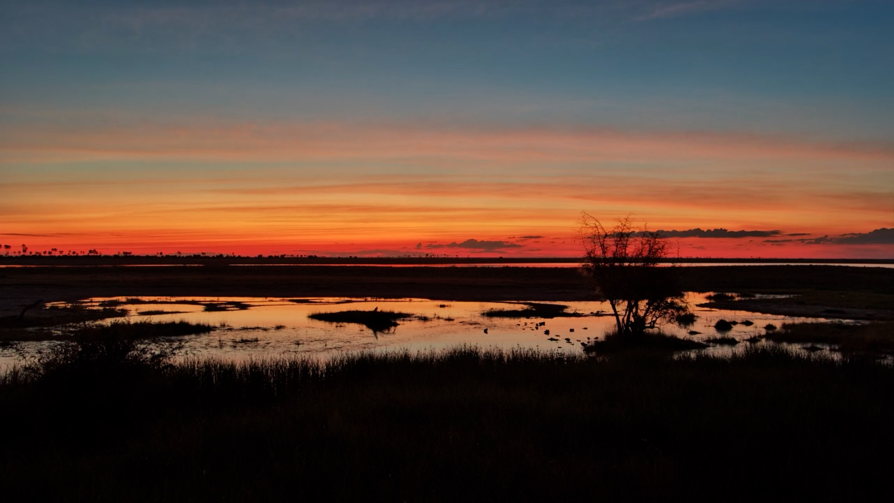 The Wilderness Slows Down After Sunset at Jack’s Camp