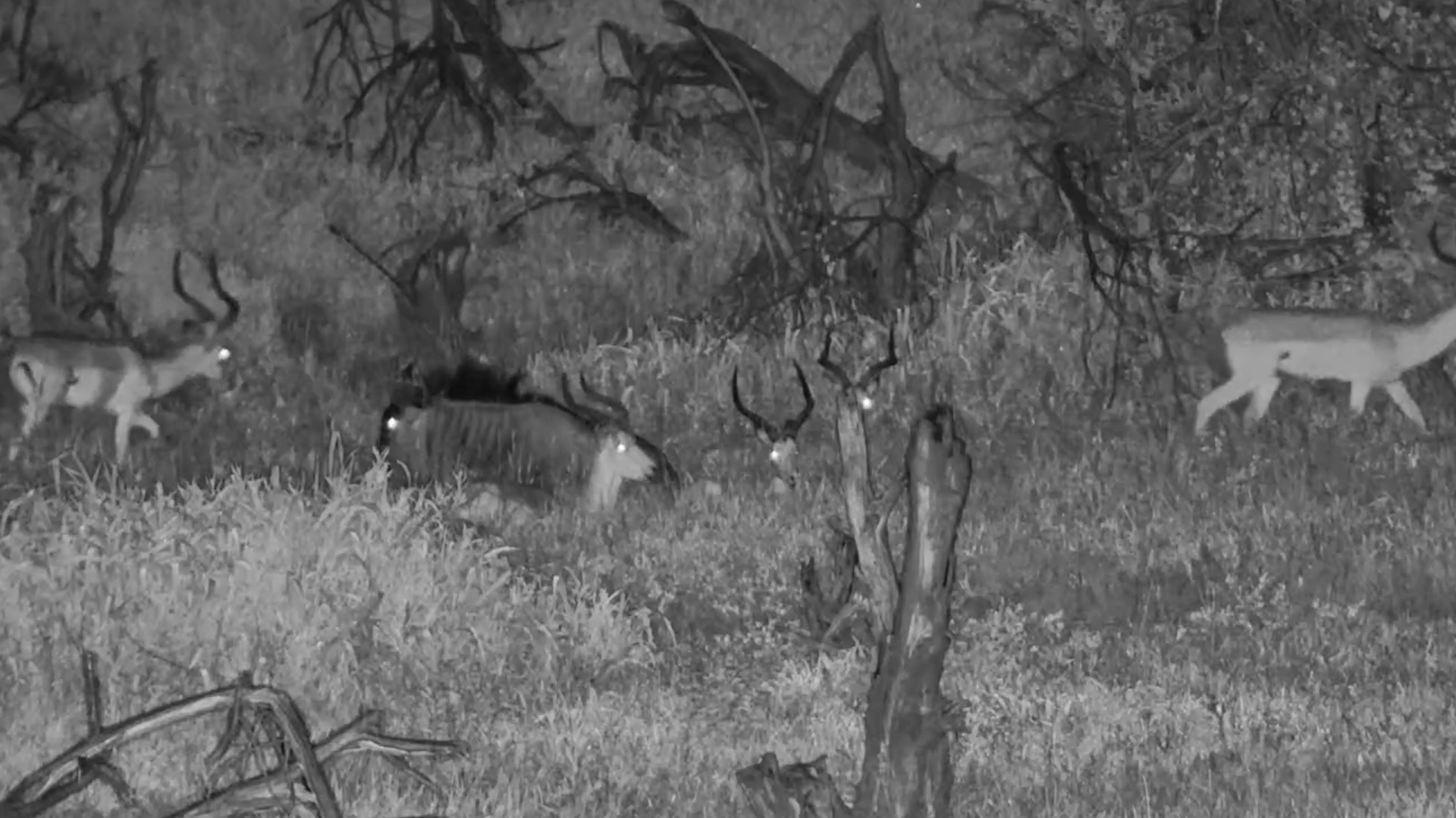 One of These Is Not Like the Others