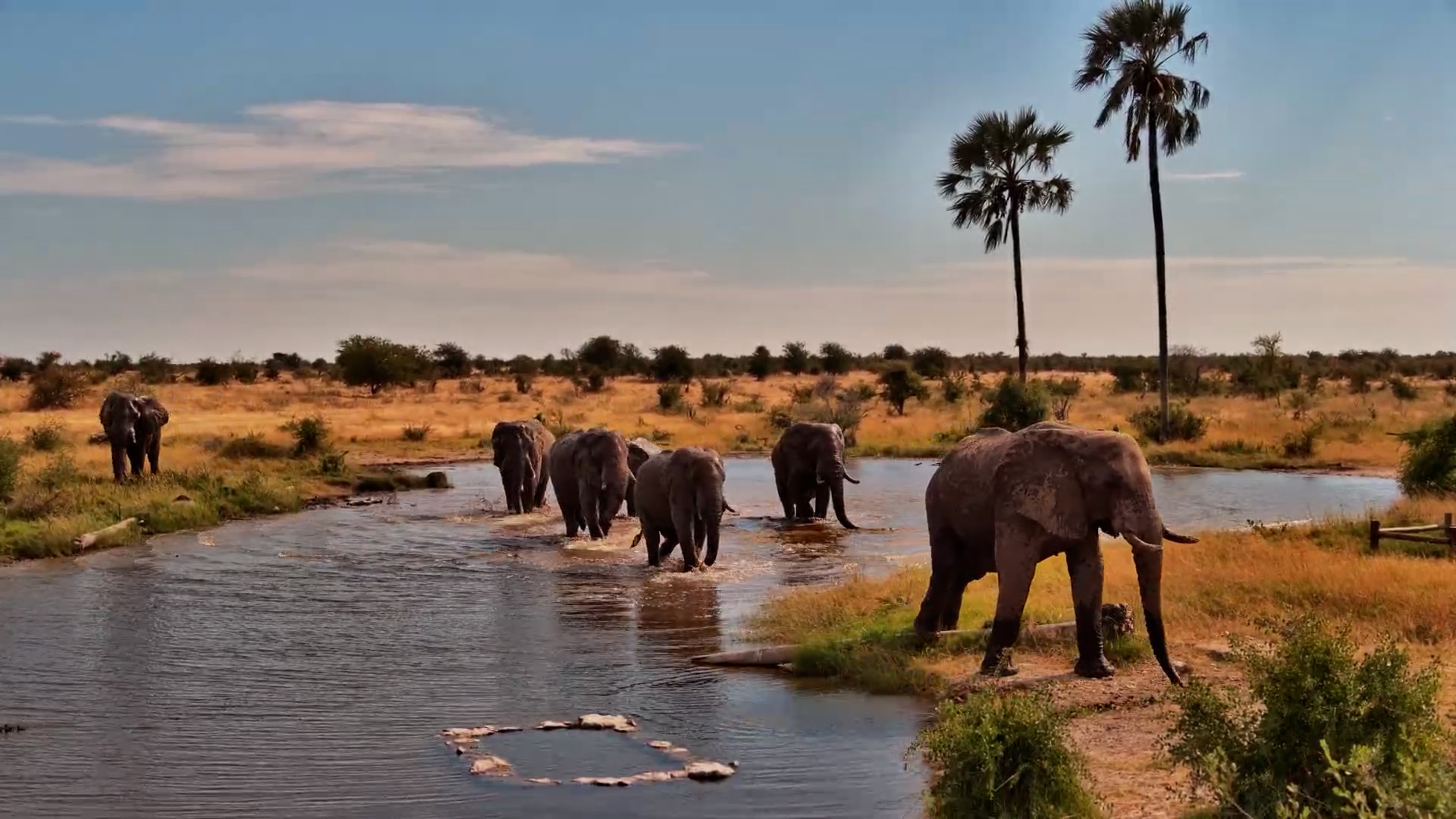 Following Water, Wherever It Appears