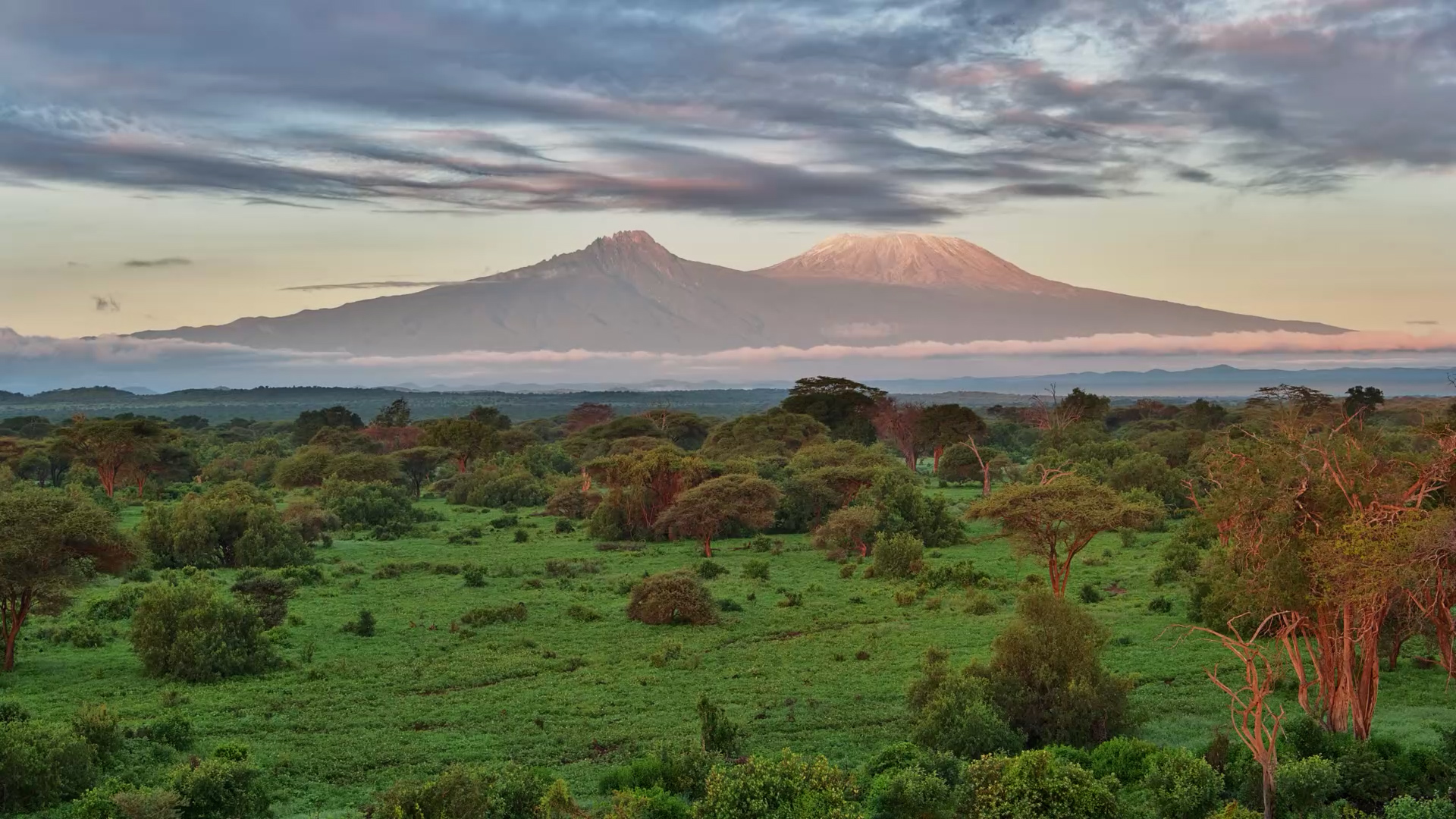 Kilimanjaro at Sunrise… and the Sound of the Wild Coming Alive
