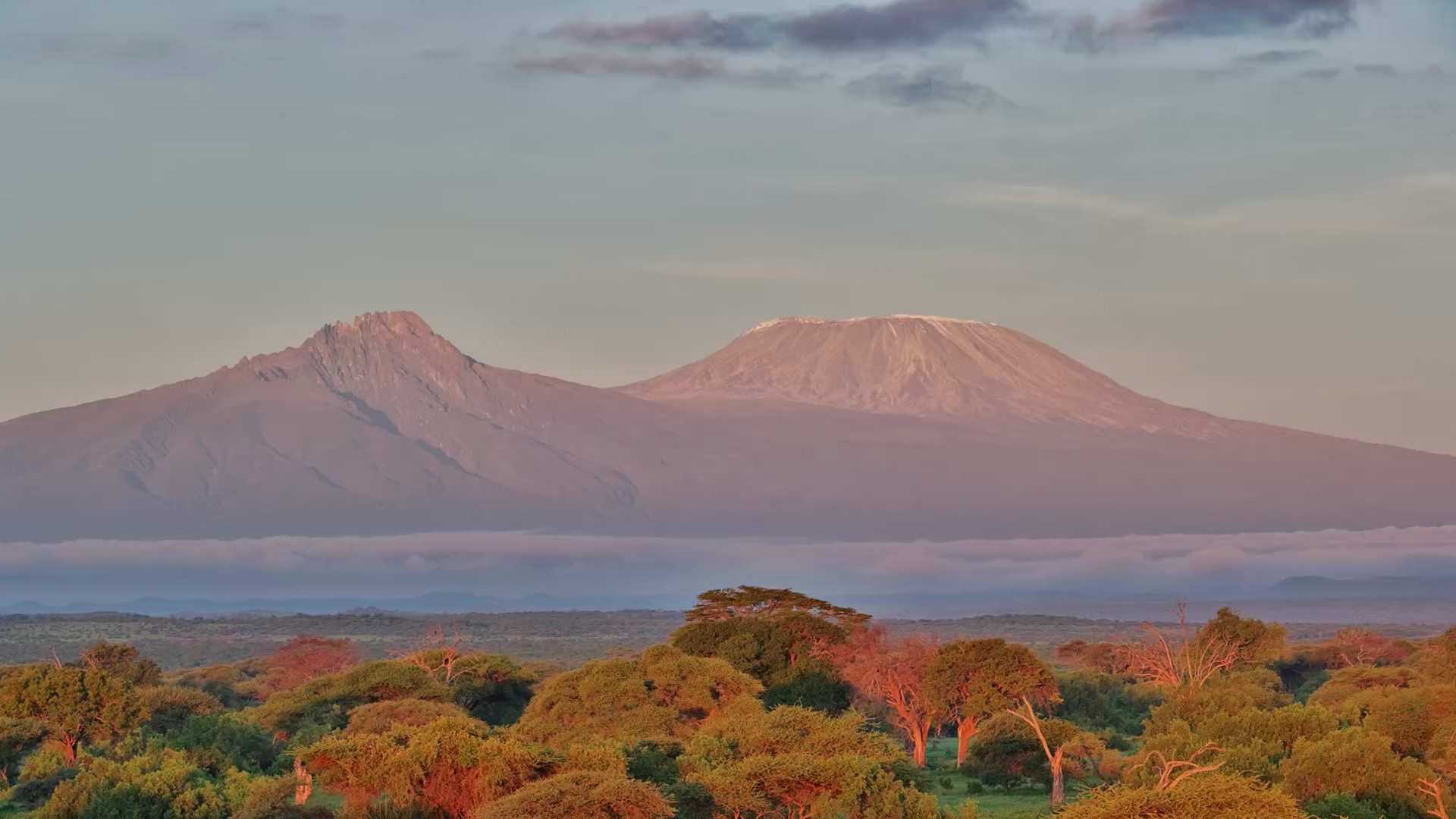 A View Worth Pausing For