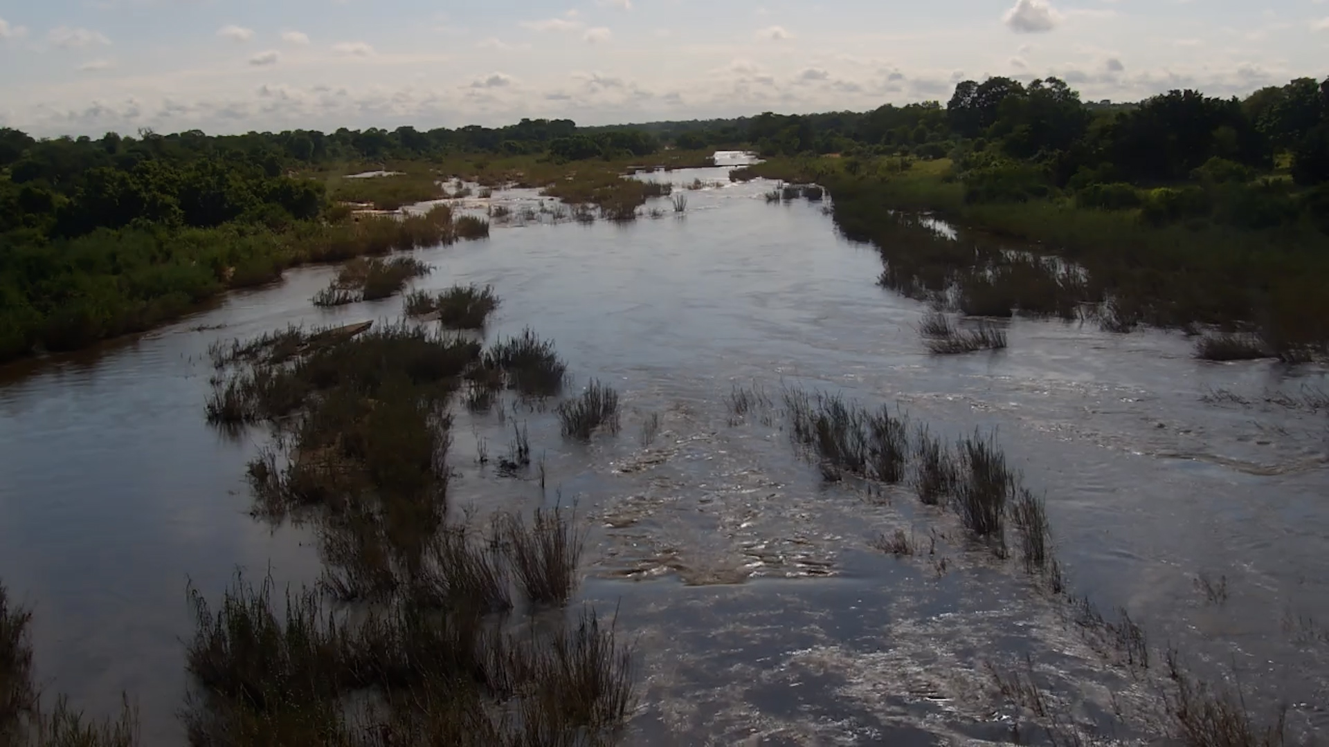 Sabie River Update | 2 Feb 2026