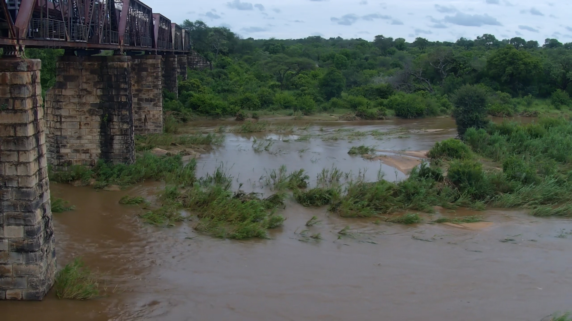 Kruger Flood Update - Water Levels Subsiding | 21 Jan
