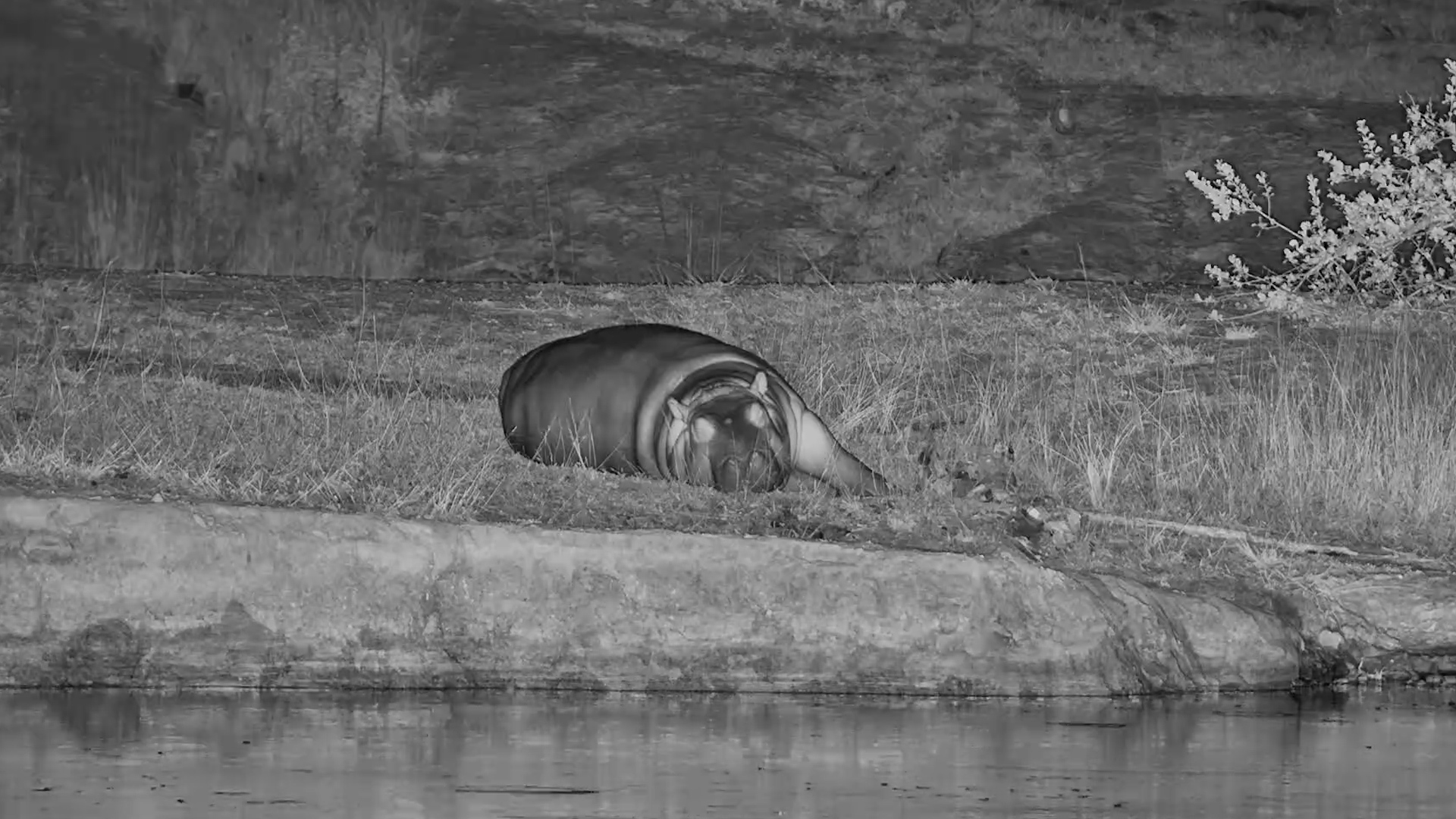 Doing Absolutely Nothing… Perfectly