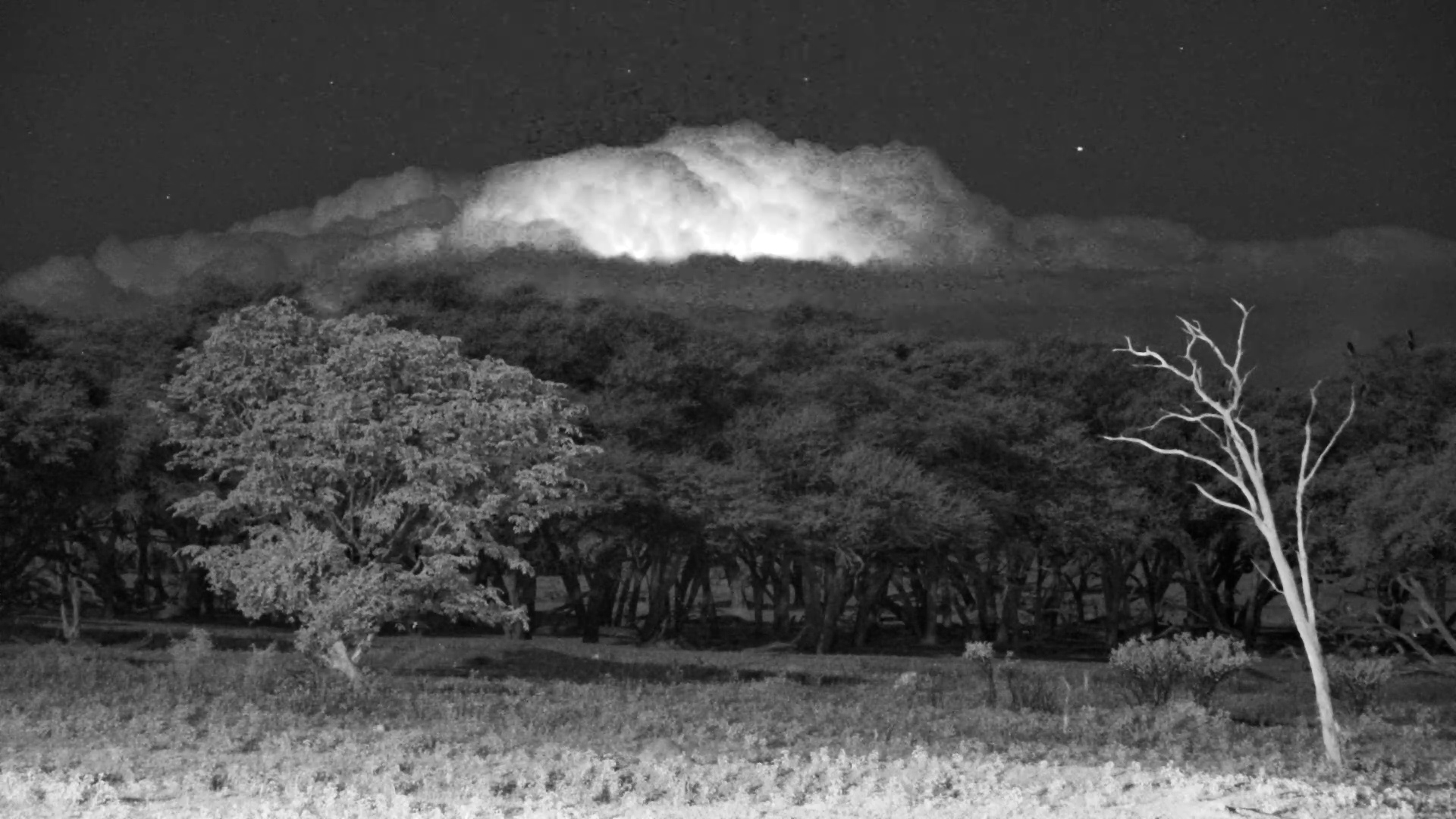 Electric Skies: Lightning Storm Over Hwange