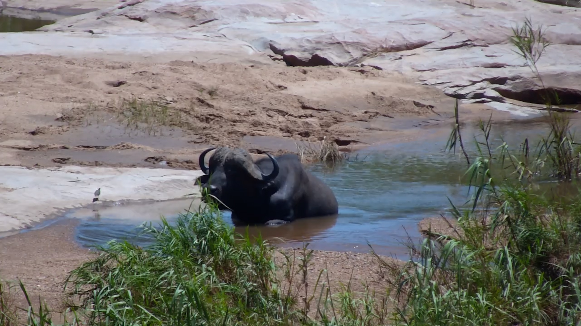 The Ultimate Sabie River Chill Session
