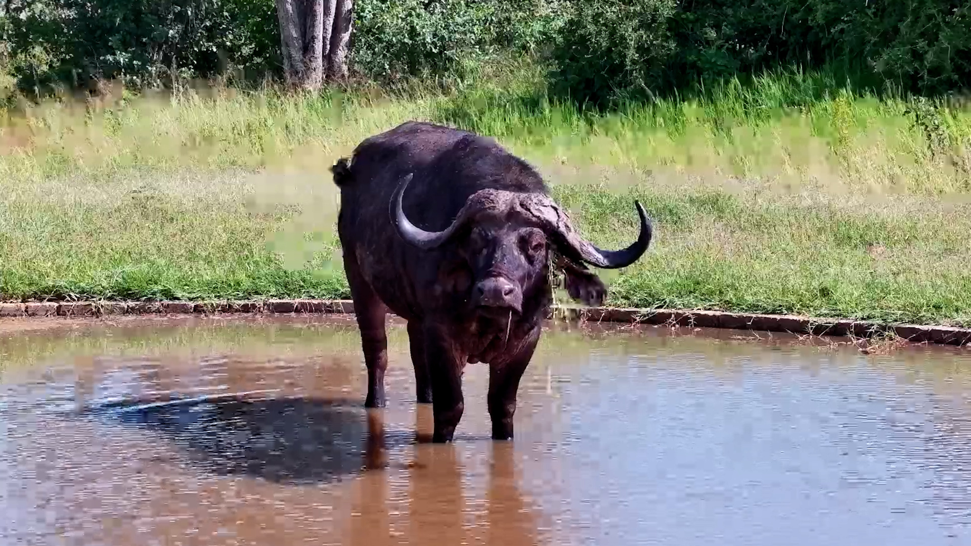 Calm, Cool… and Slightly Decorated