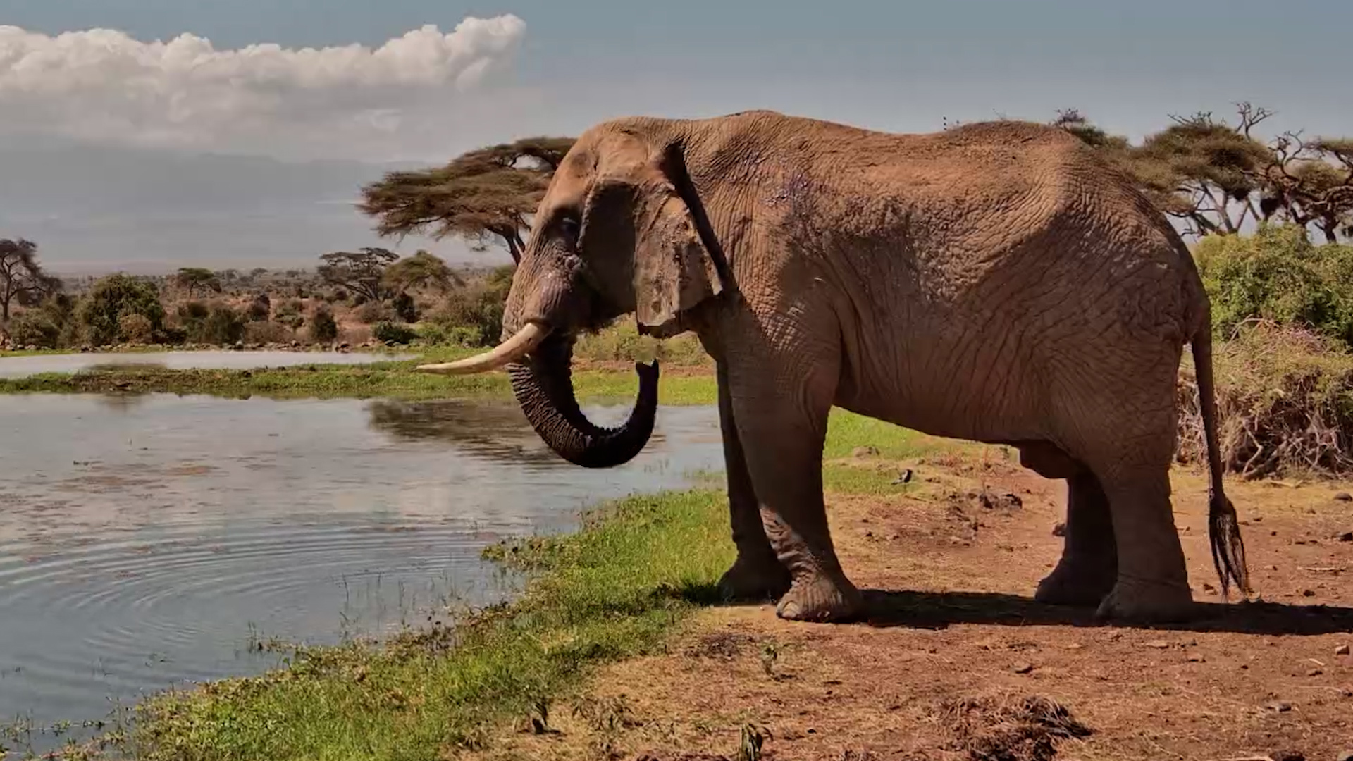 Taking a Load Off at Tortilis