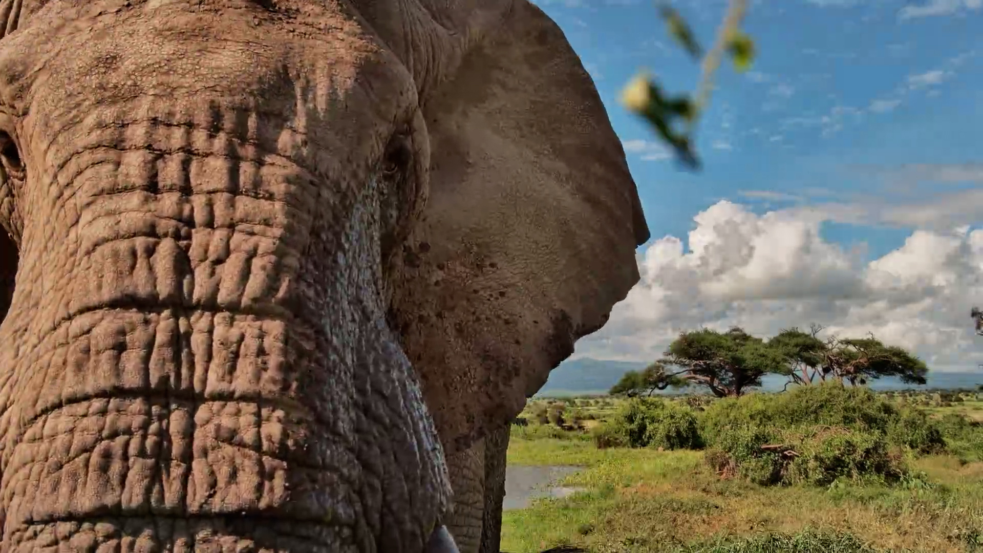 He Noticed the Camera… and Came Over