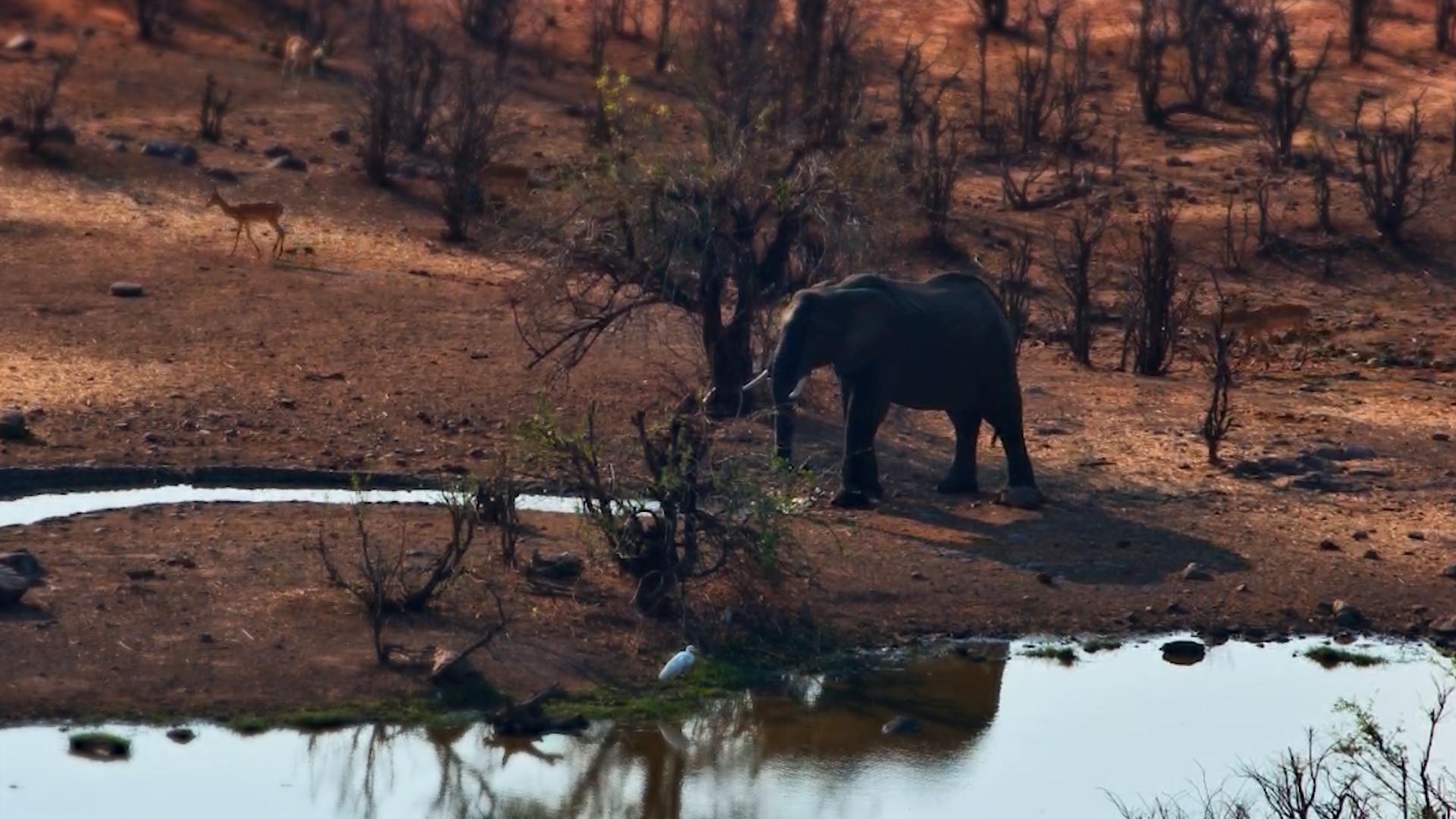 A Long, Lonely Walk to Water