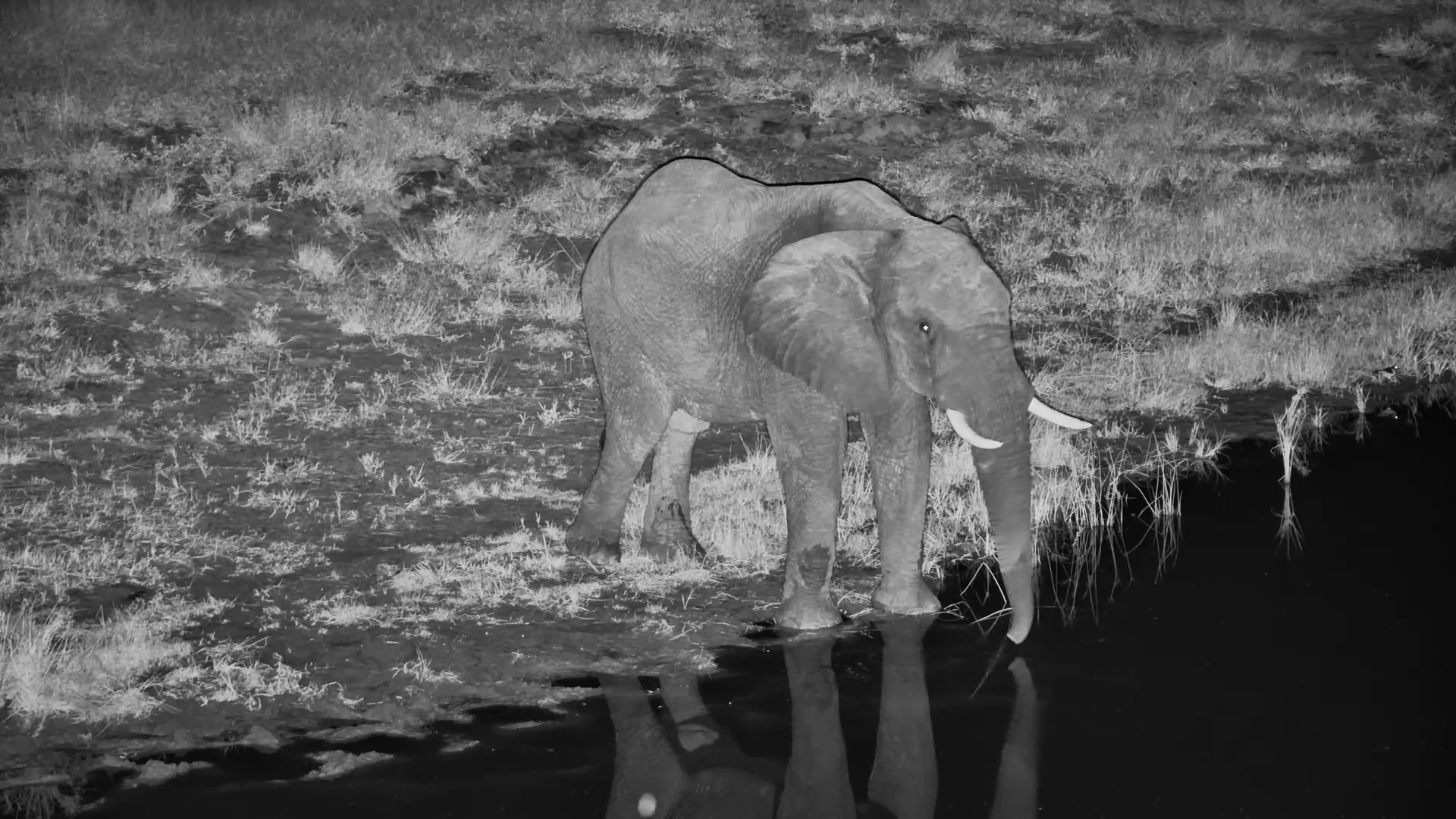 A Quiet Moment at Moela