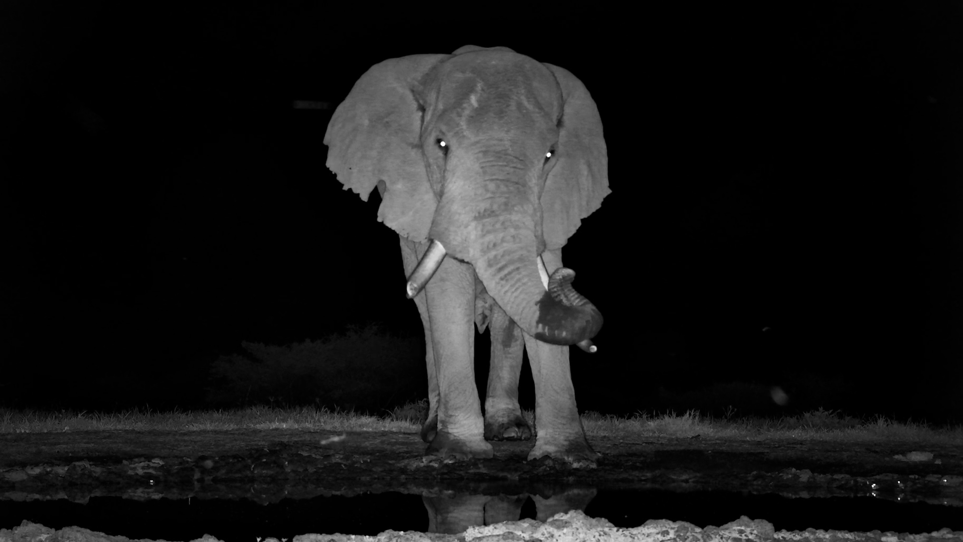 Big Guy, Quiet Moment