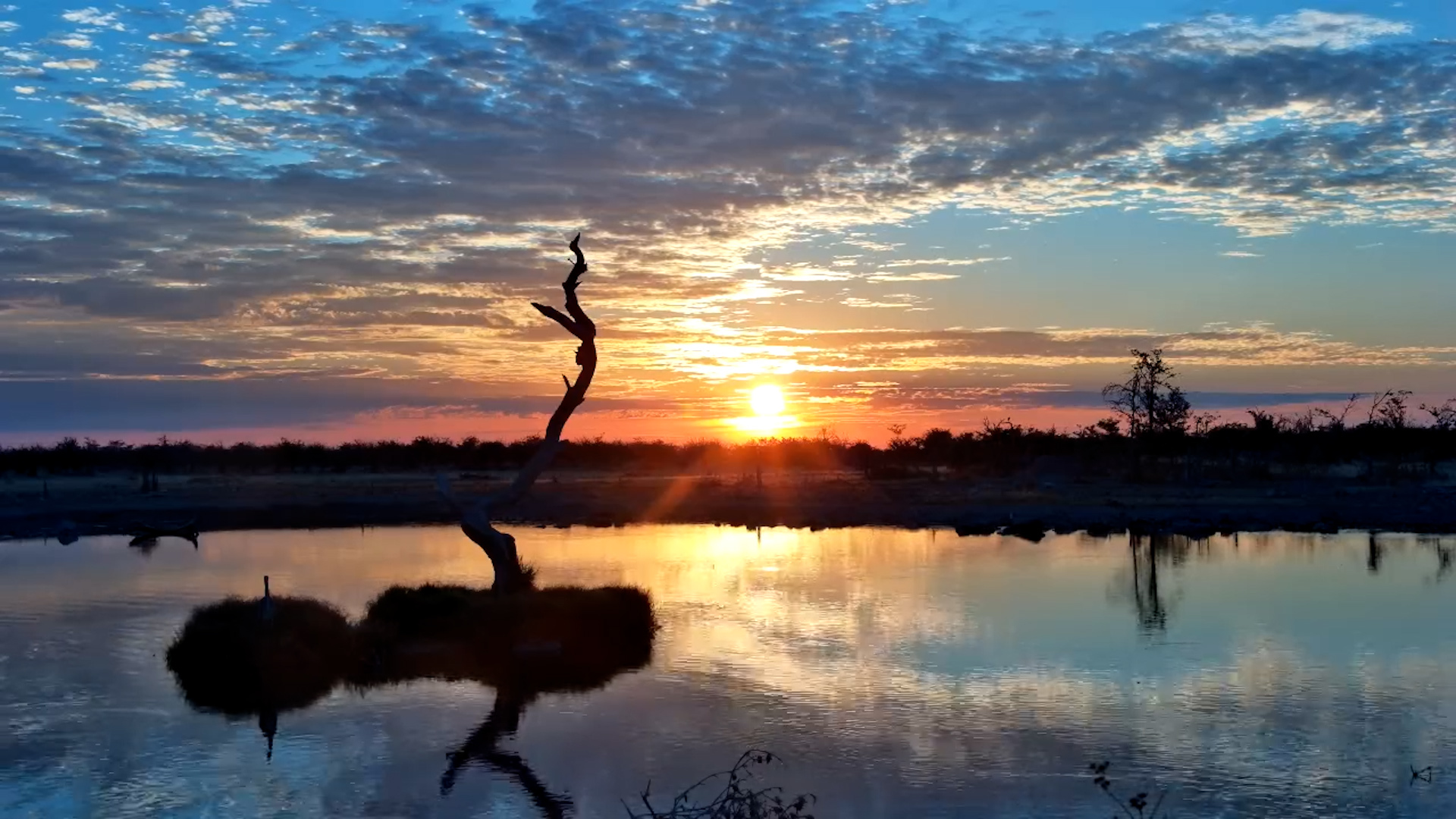 The Day Begins Beautifully at Safarihoek