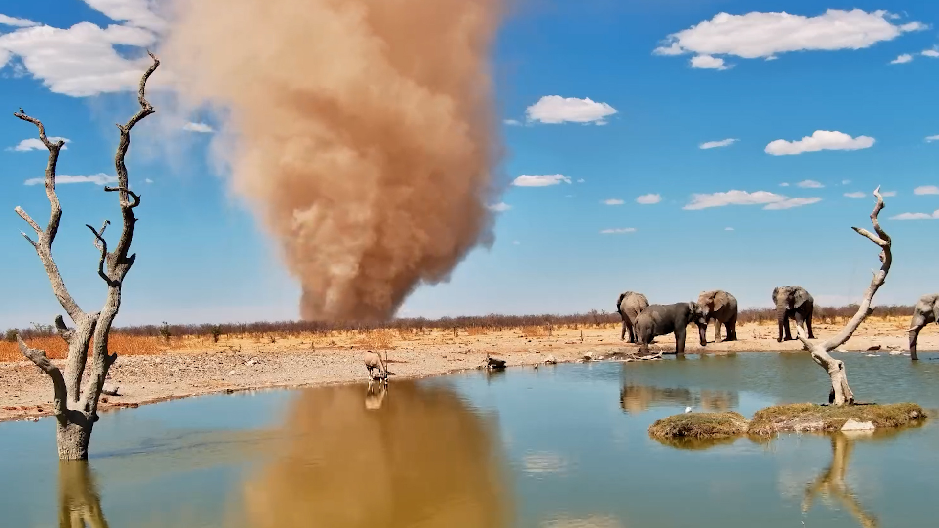 Dust & Giants: Massive Dust Devil at Safarihoek