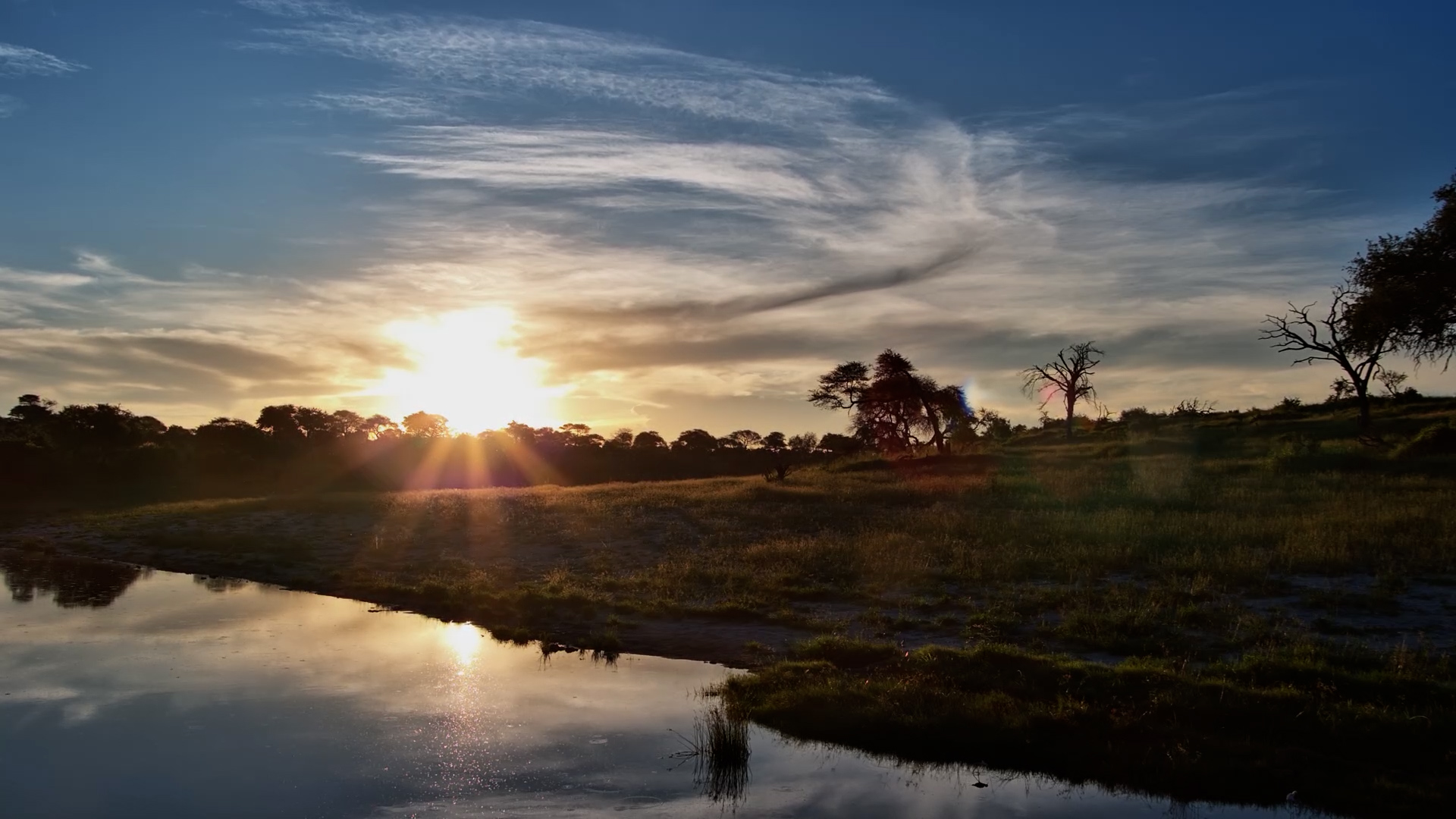 Golden Hour Magic: Elephants Drink in Timelapse