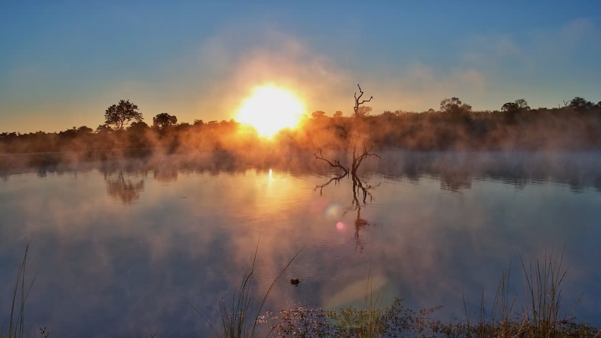 Ulusaba in the Early Morning Haze