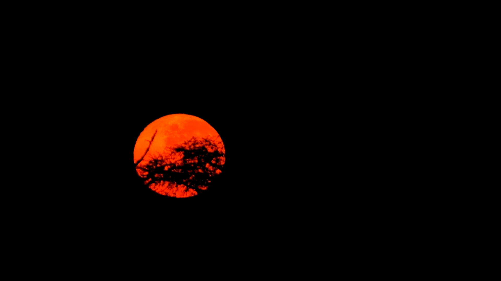 Rare Blood Moon Descends Over The Hide, Zimbabwe