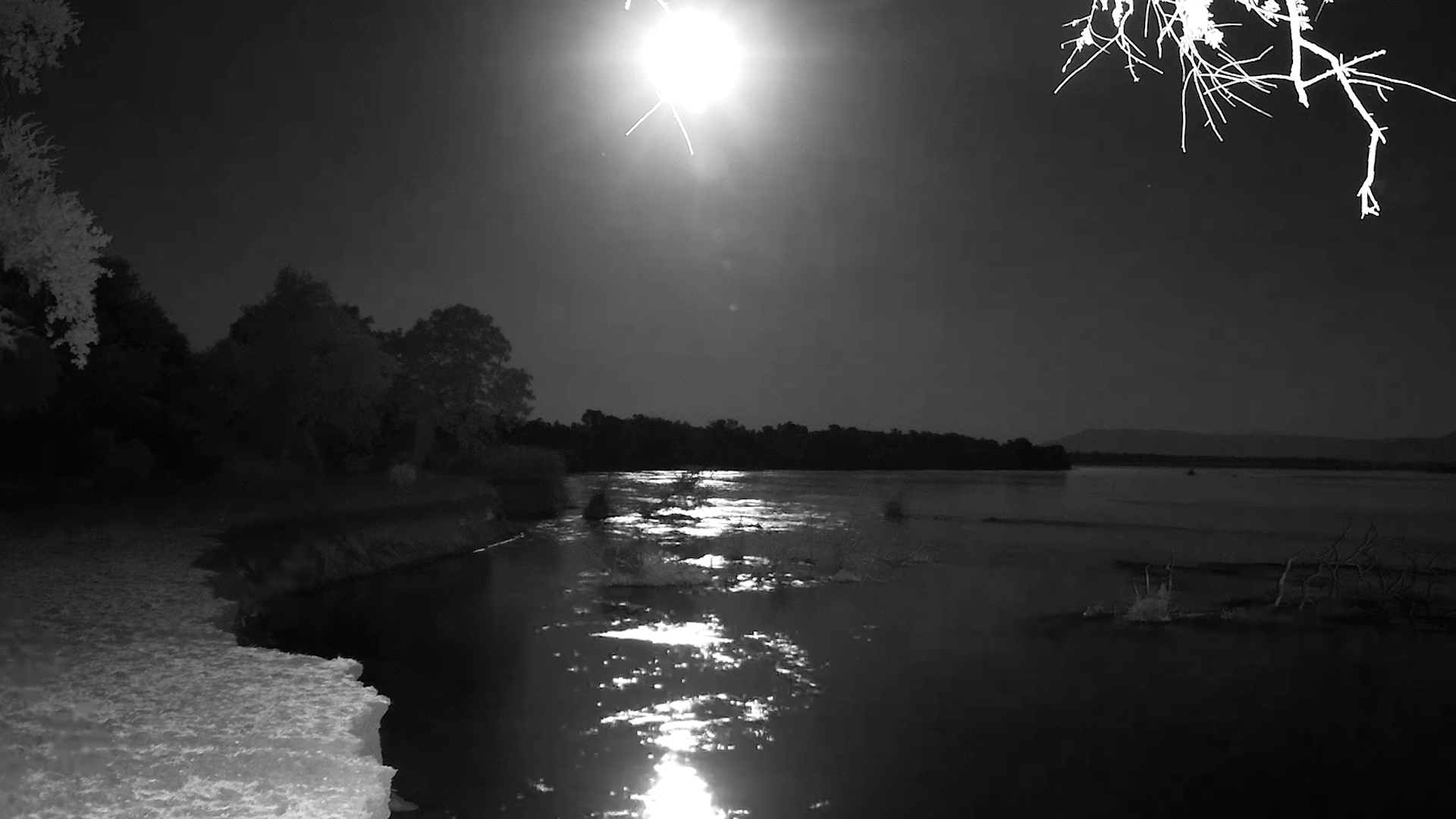Moonlight Over the Zambezi