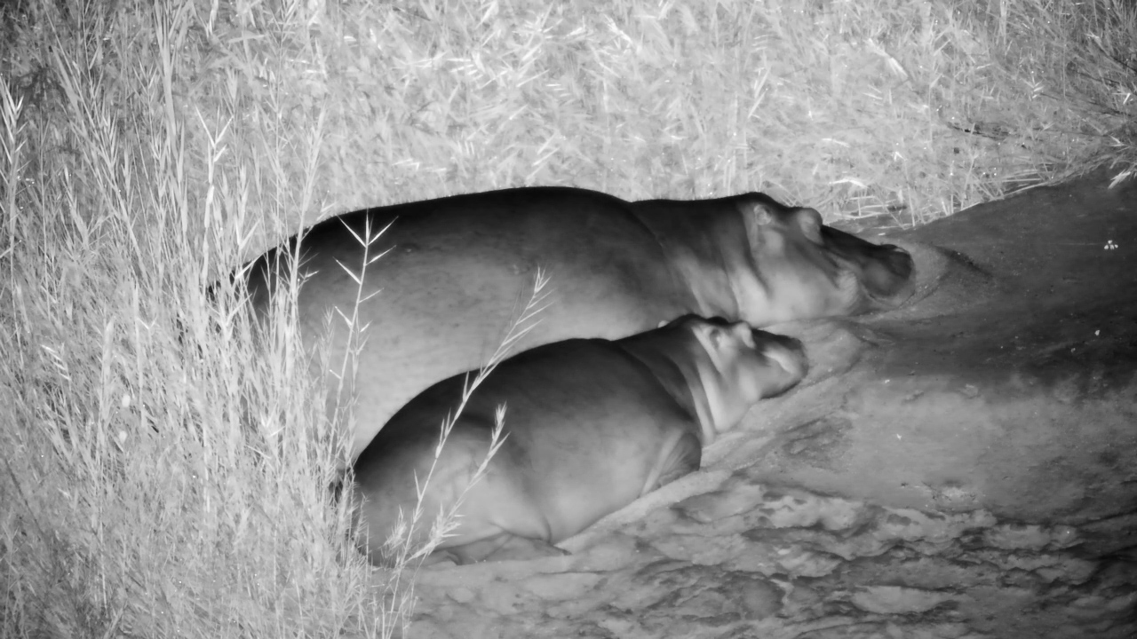 Mum and Baby Fast Asleep