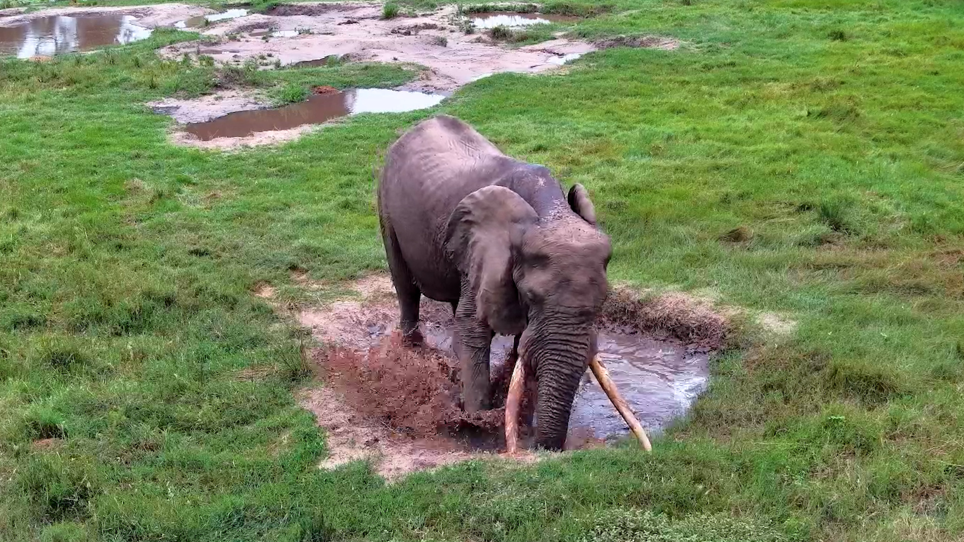 When Life Gives You Mud… Kick It!