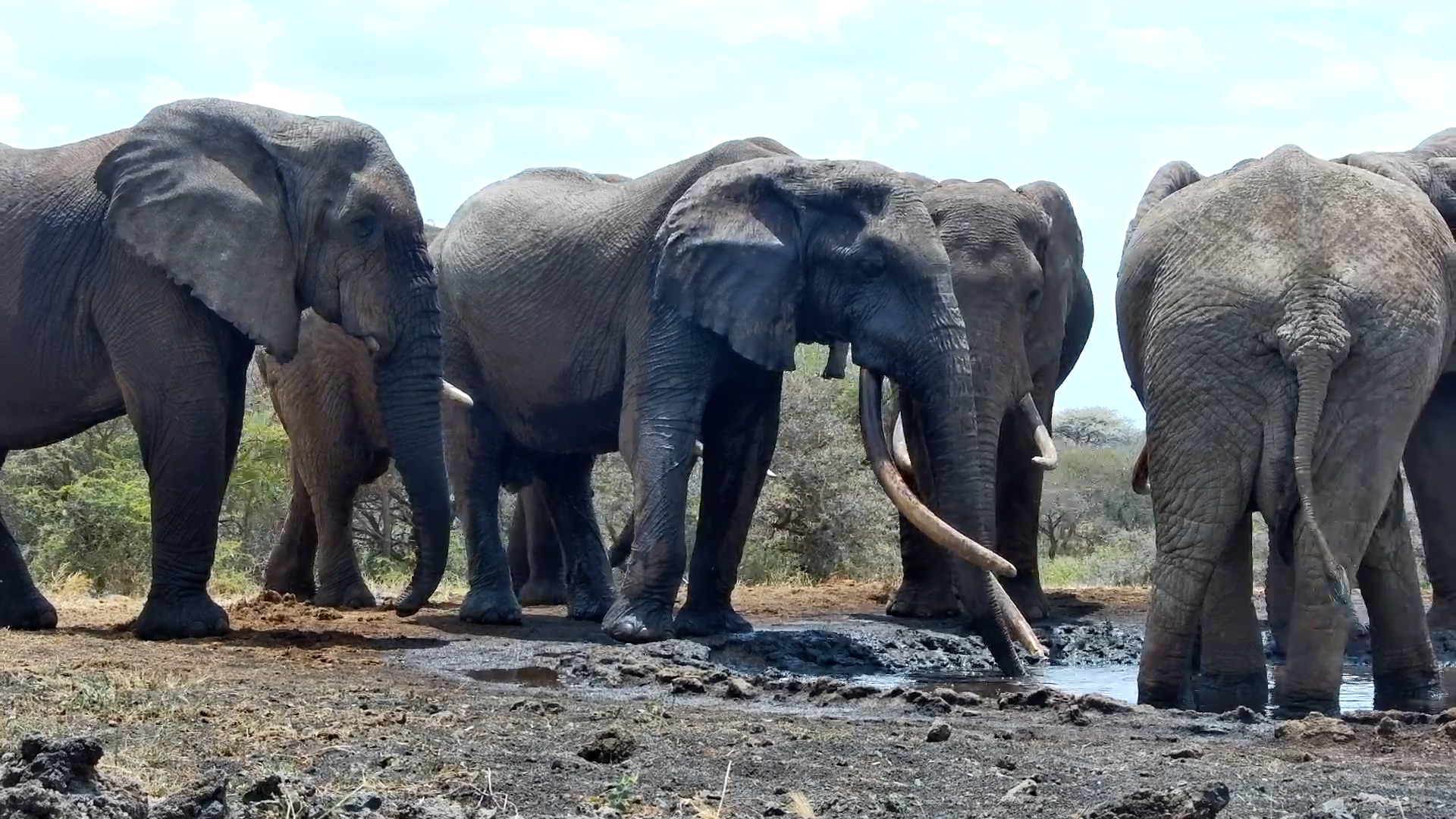 One Ton Joins the Party!