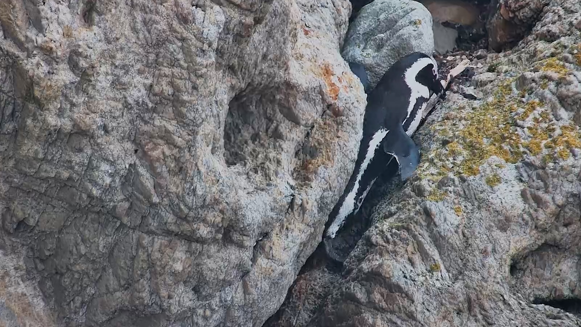 Mission: Climb This Rock