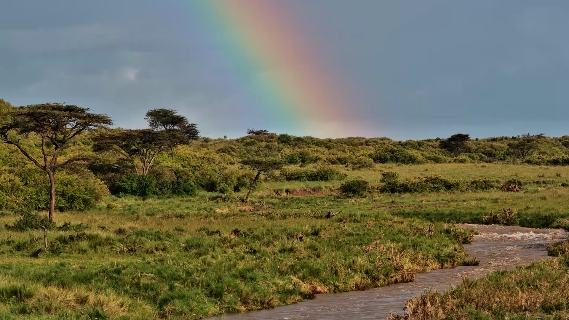 Rainbow Magic Over Mahali Mzuri