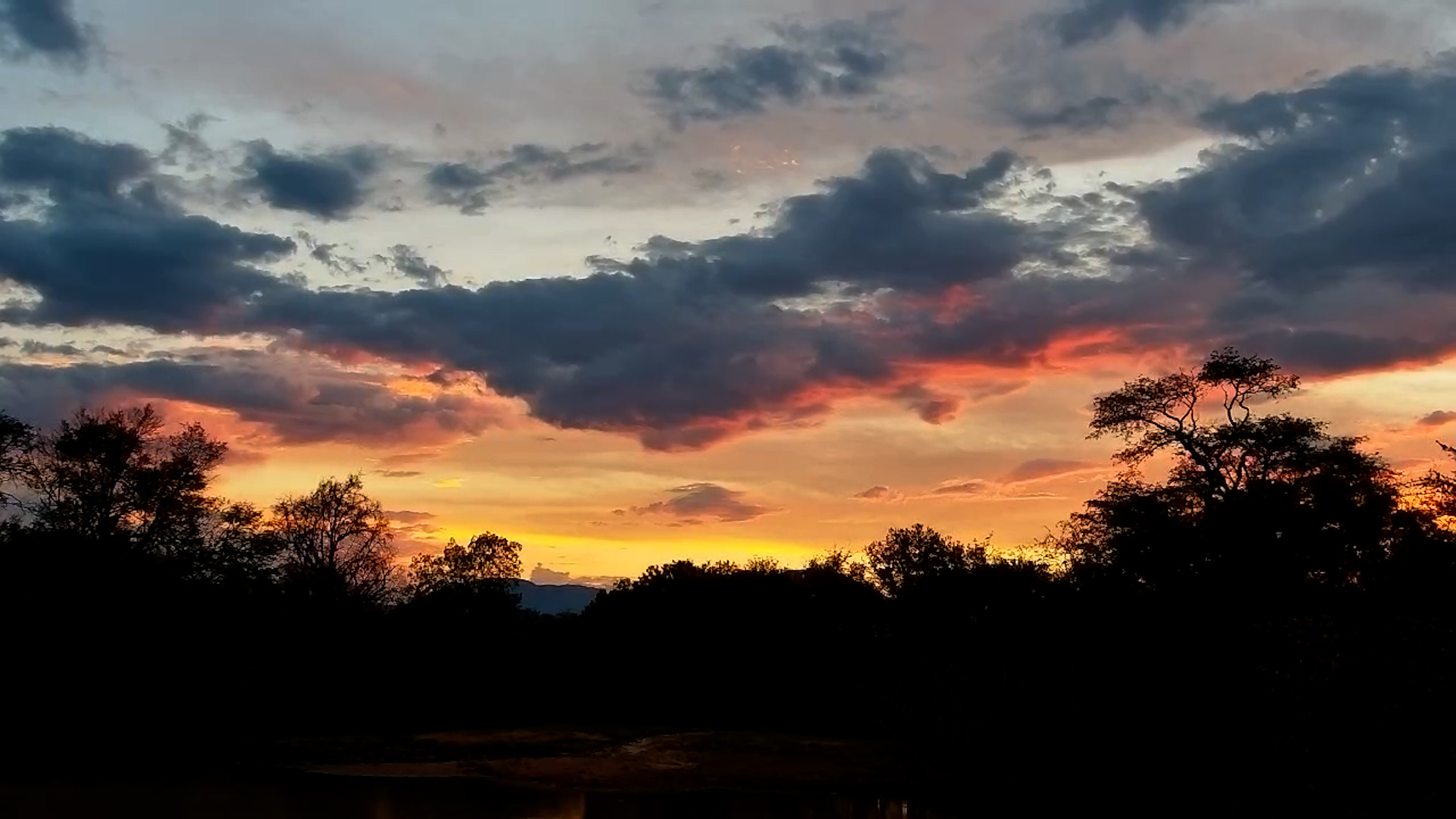 Golden African Sunset Over Jabulani Waterhole