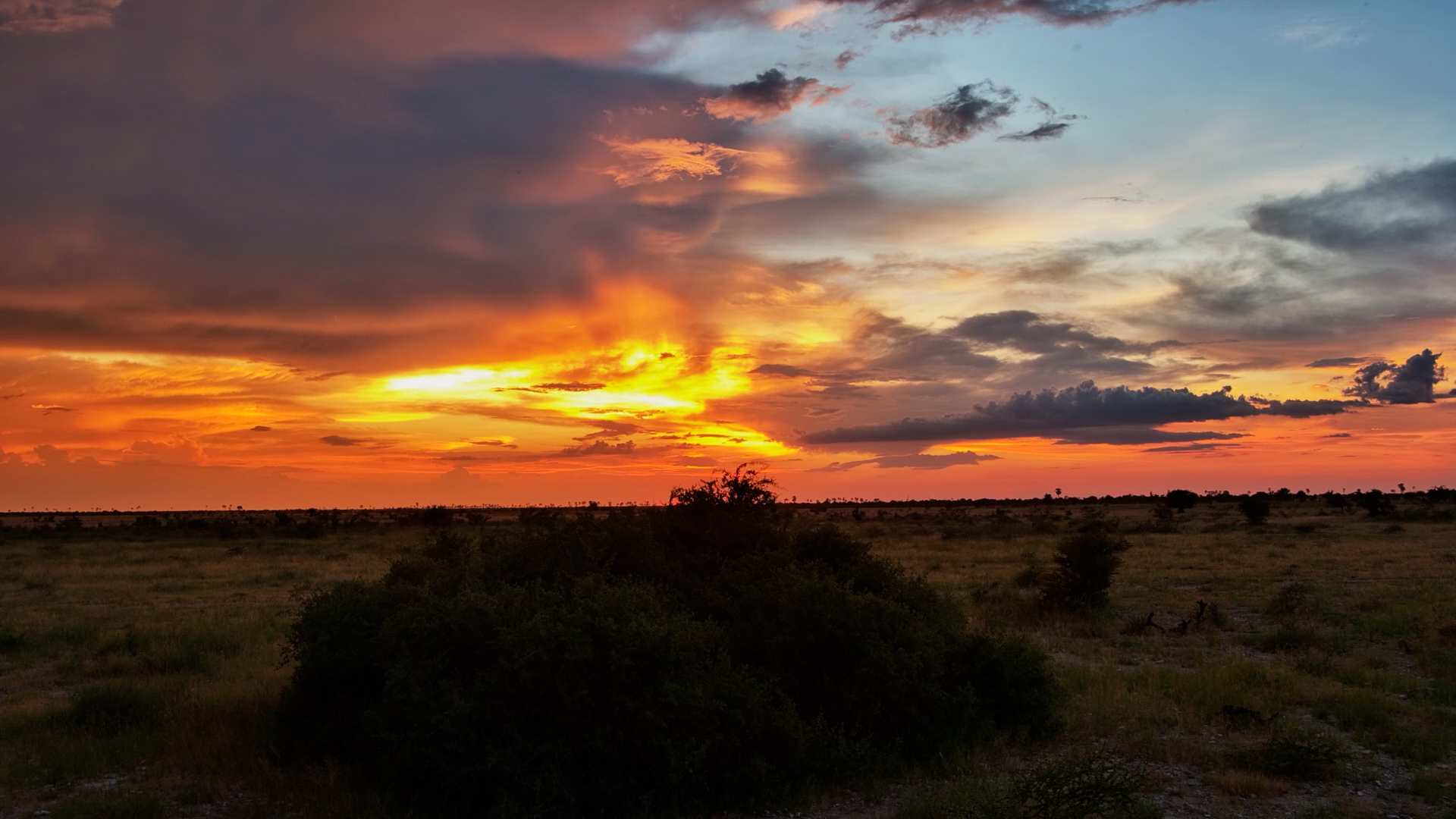Kalahari Sunset Sets the Sky on Fire