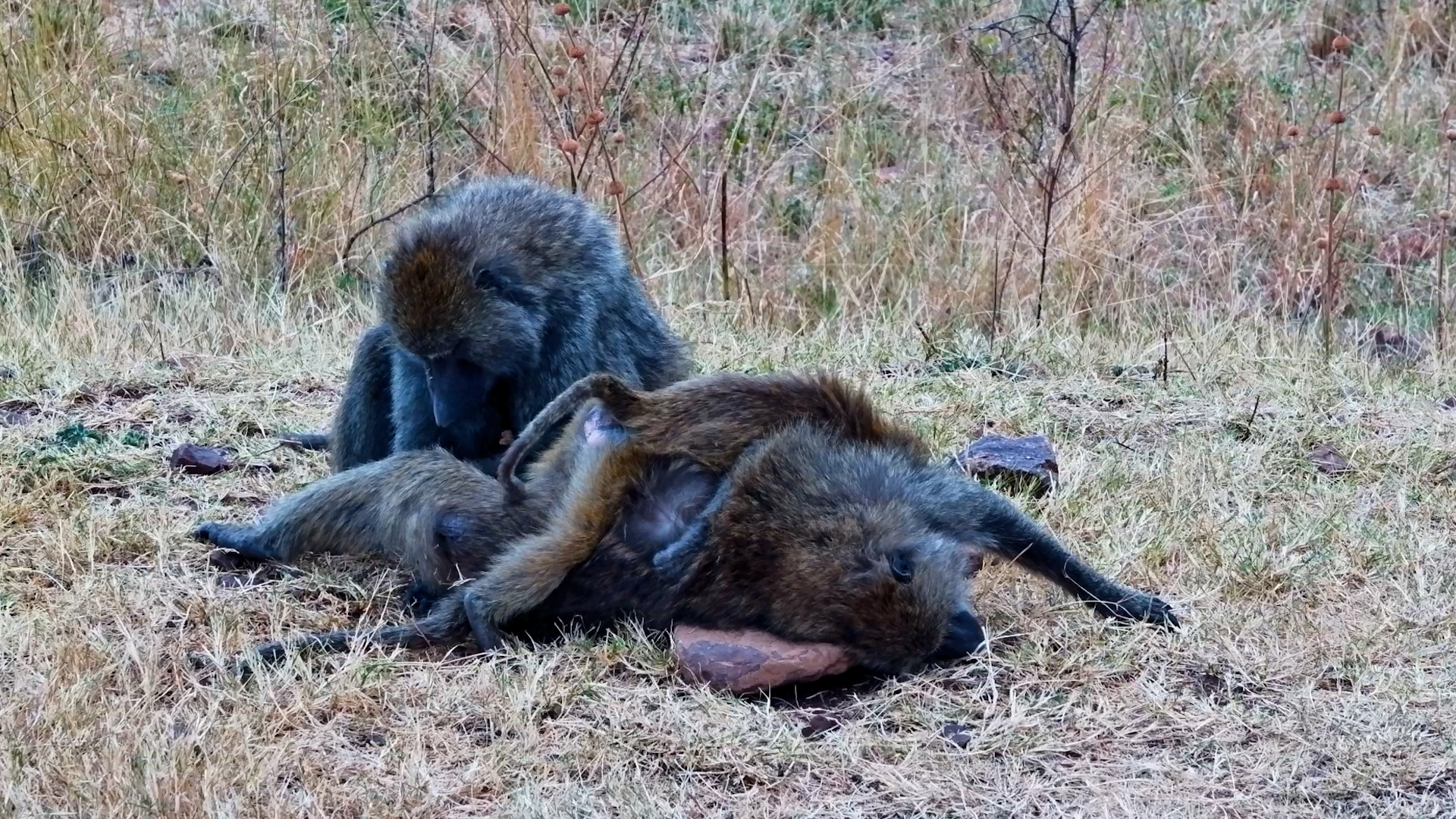 Mum's Spa Day... With a Baby on Top