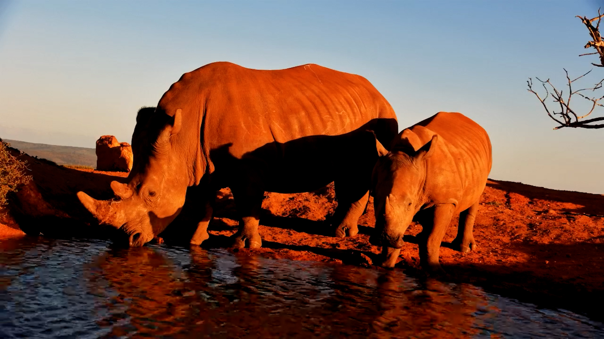 A Perfect Sundowner Moment