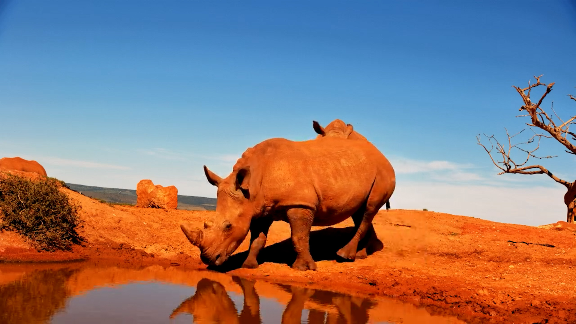 Everyone Wants the Same Spot…