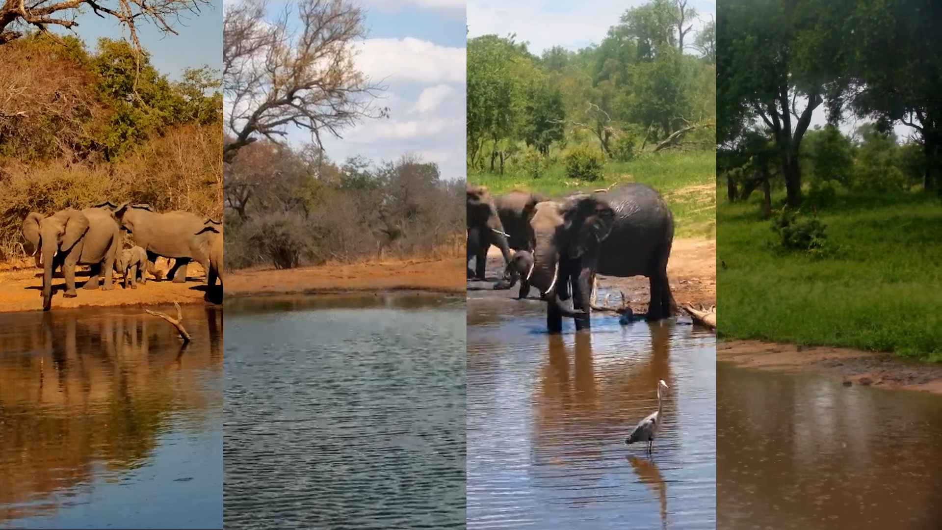 The Bush Awakens: Winter to Summer at Serondella