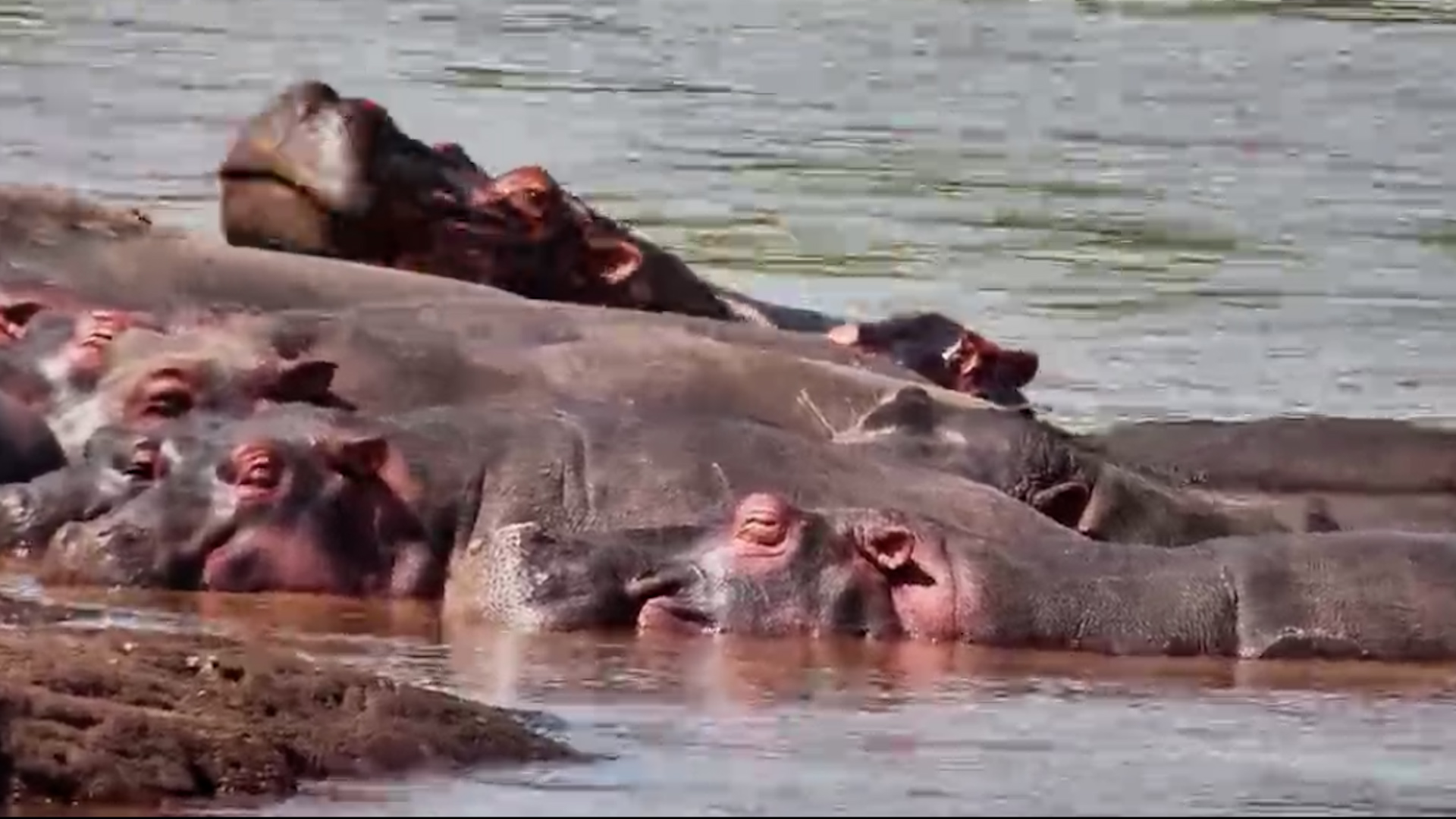 River Nap Time
