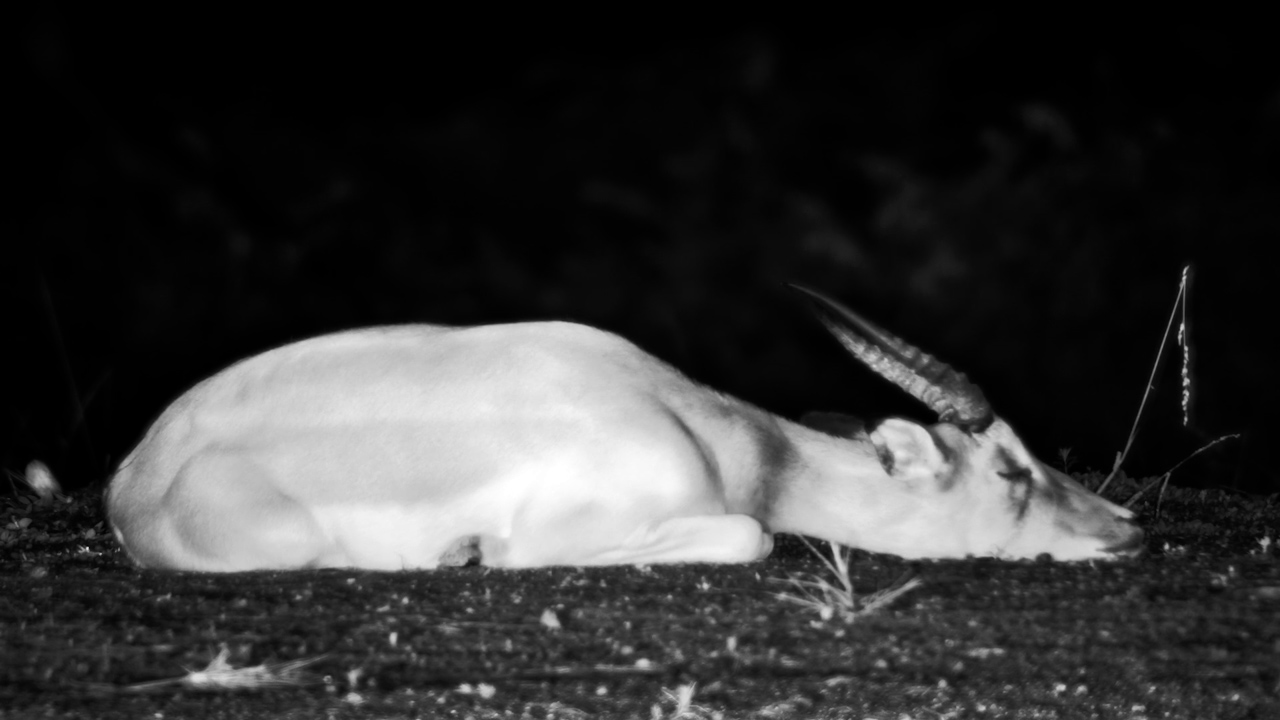 Head Down, Eyes Closed