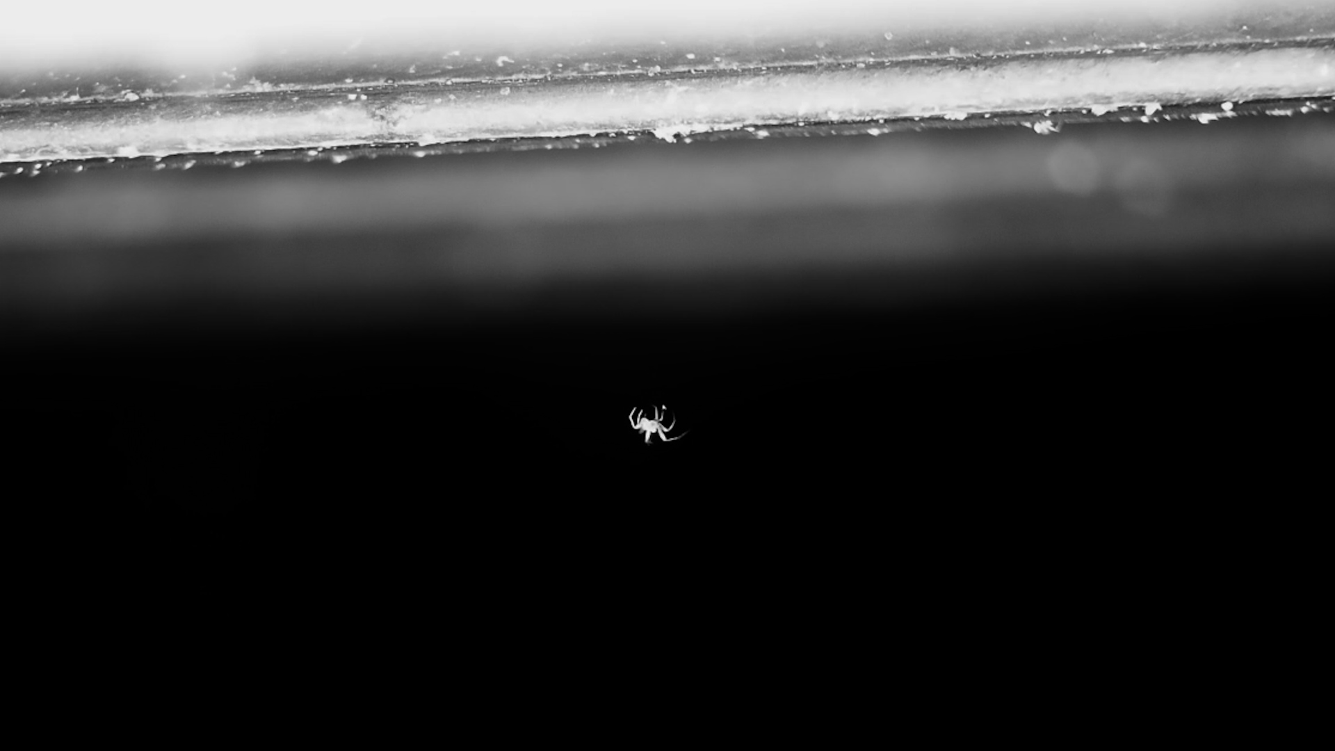 A Tiny Dot in the Dark