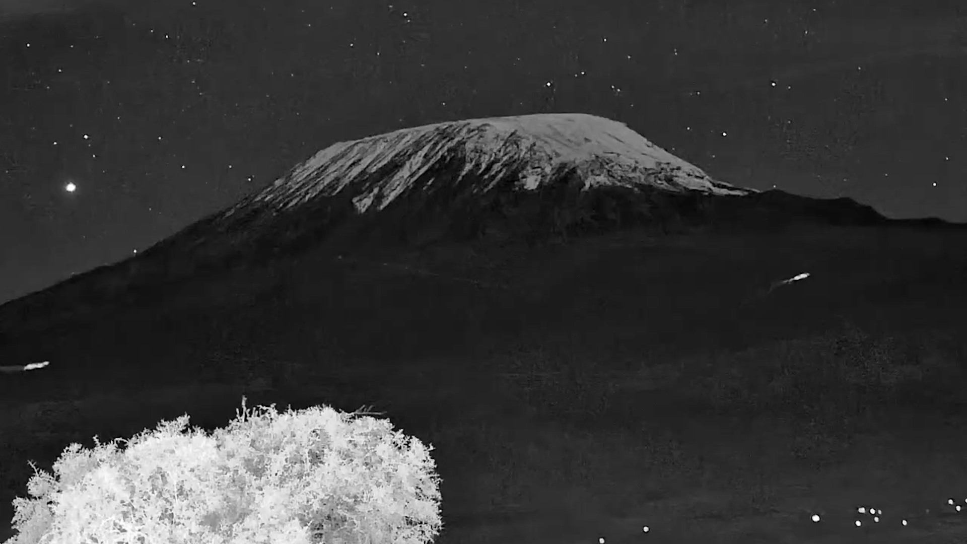 Under a Million Stars… Kilimanjaro Stands in Silence