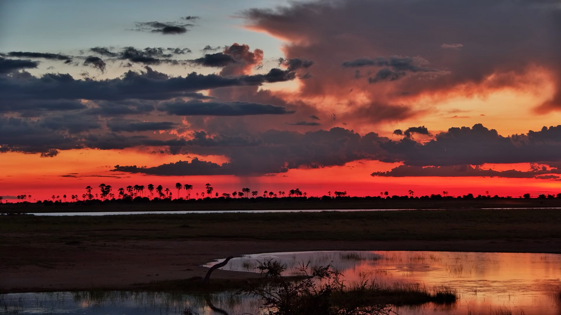 Painted Skies at Dusk